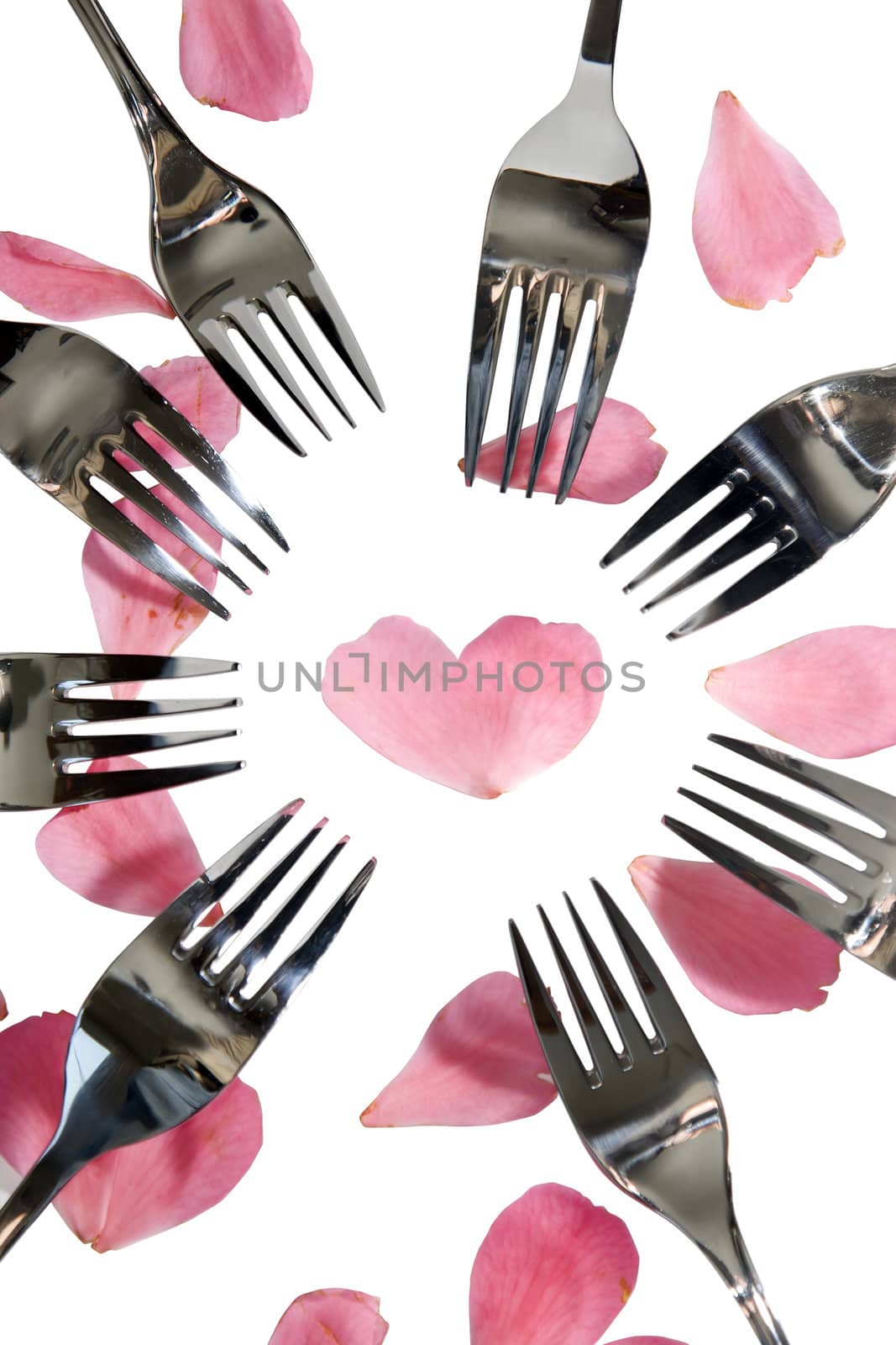 forks surrounding a heart shape petal with rose petals for a concept on romantic dining on white background with clipping path