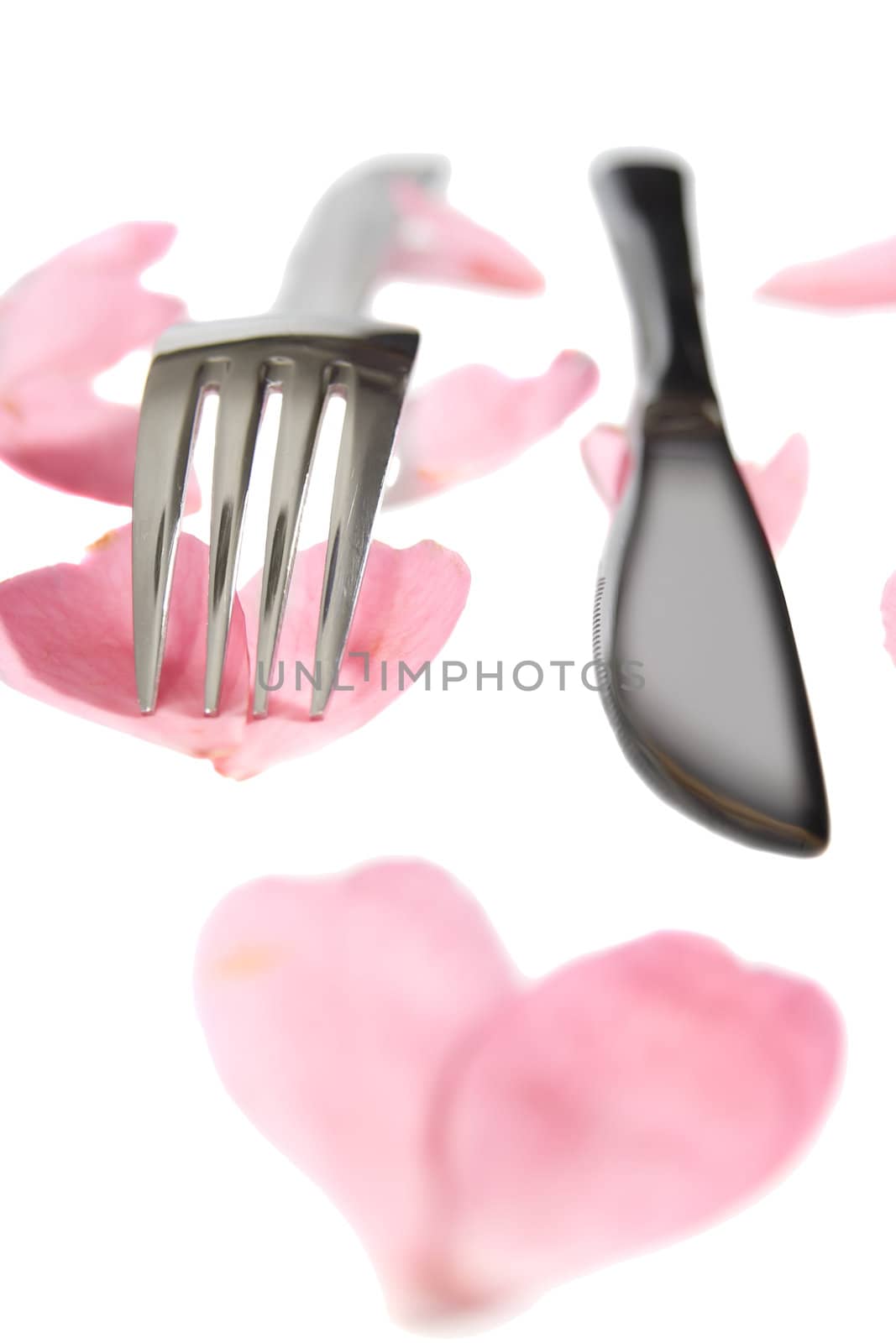 silver knife and fork isolated with rose petals by morrbyte