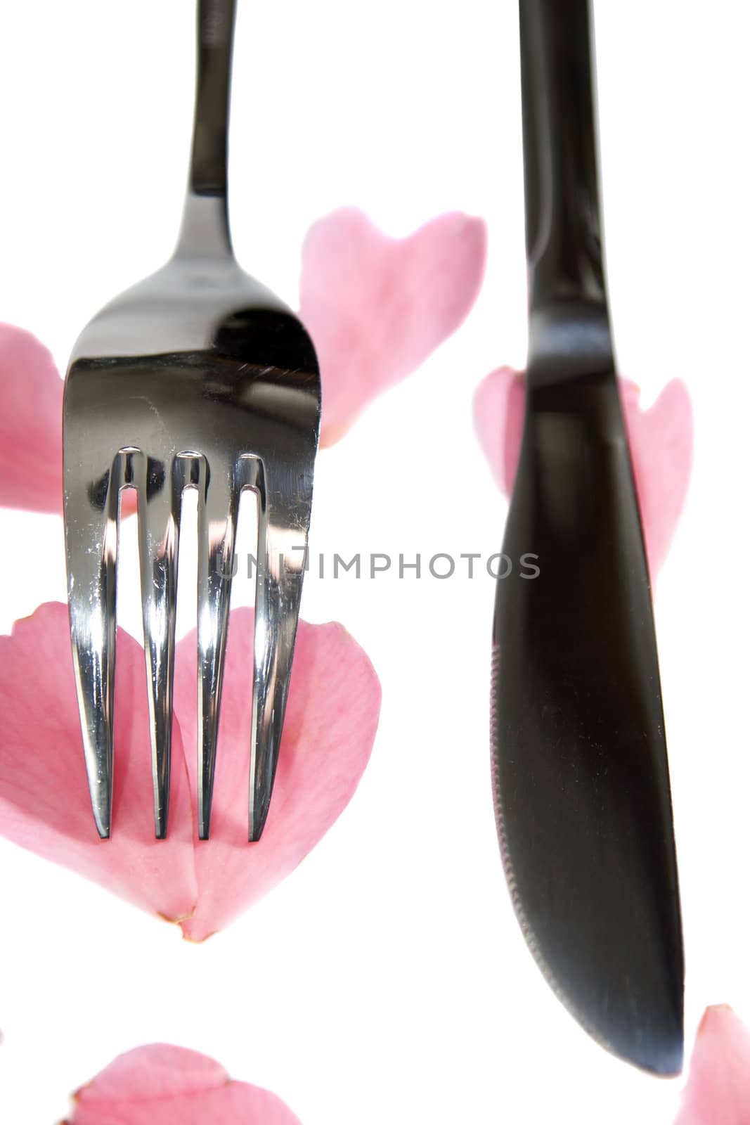 silver service fork and knife isolated with rose petals by morrbyte