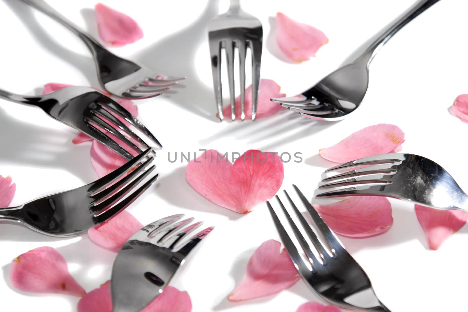 forks surrounding a heart shape petal with rose petals for a concept on romantic dining on white background