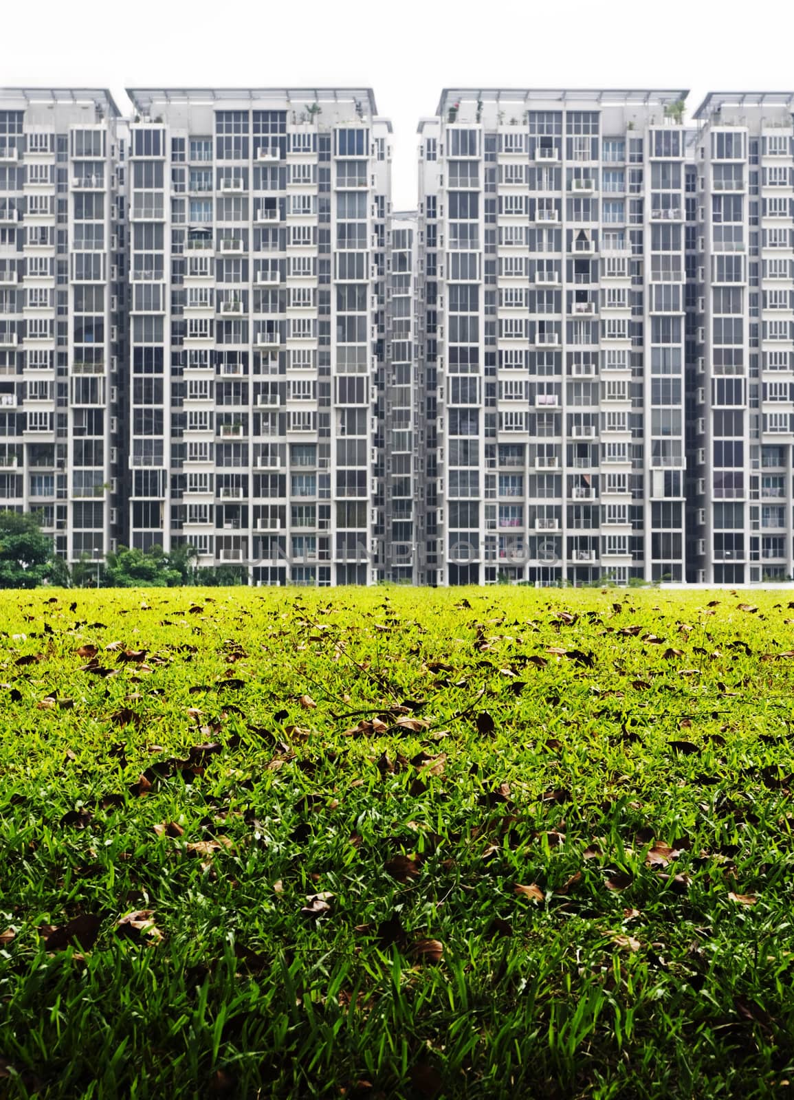 condominium housing with green grass field foreground.
