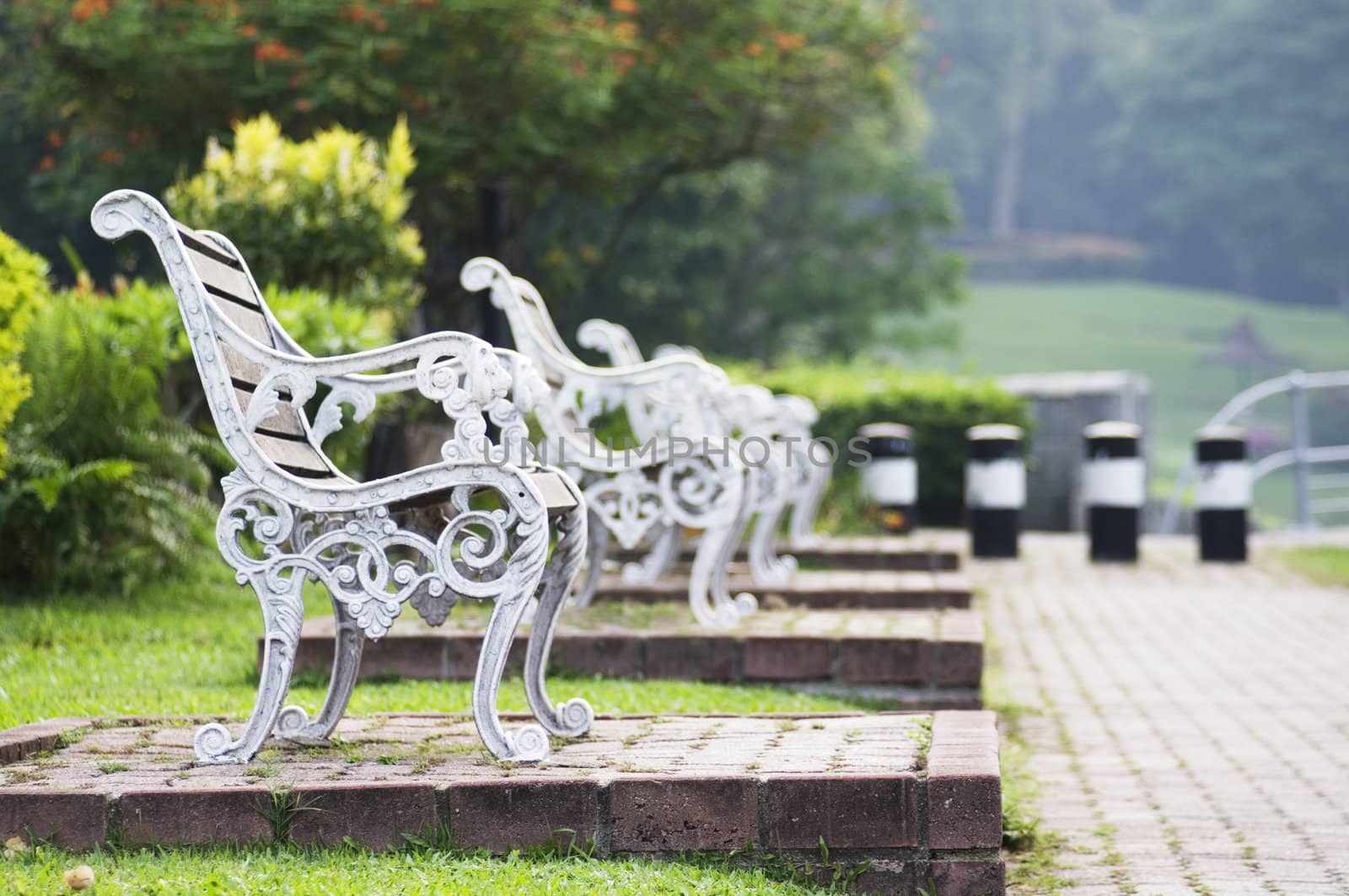 bench in the park, relaxed and tranquil atmosphere.