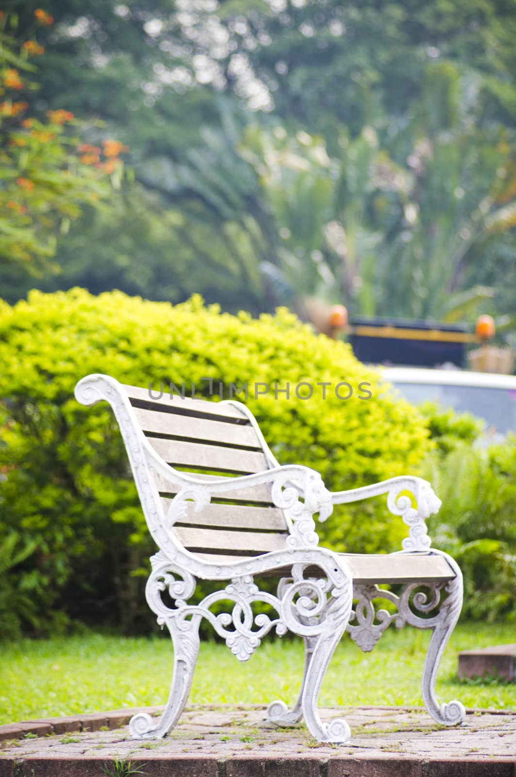bench in the park, relaxed and tranquil atmosphere.