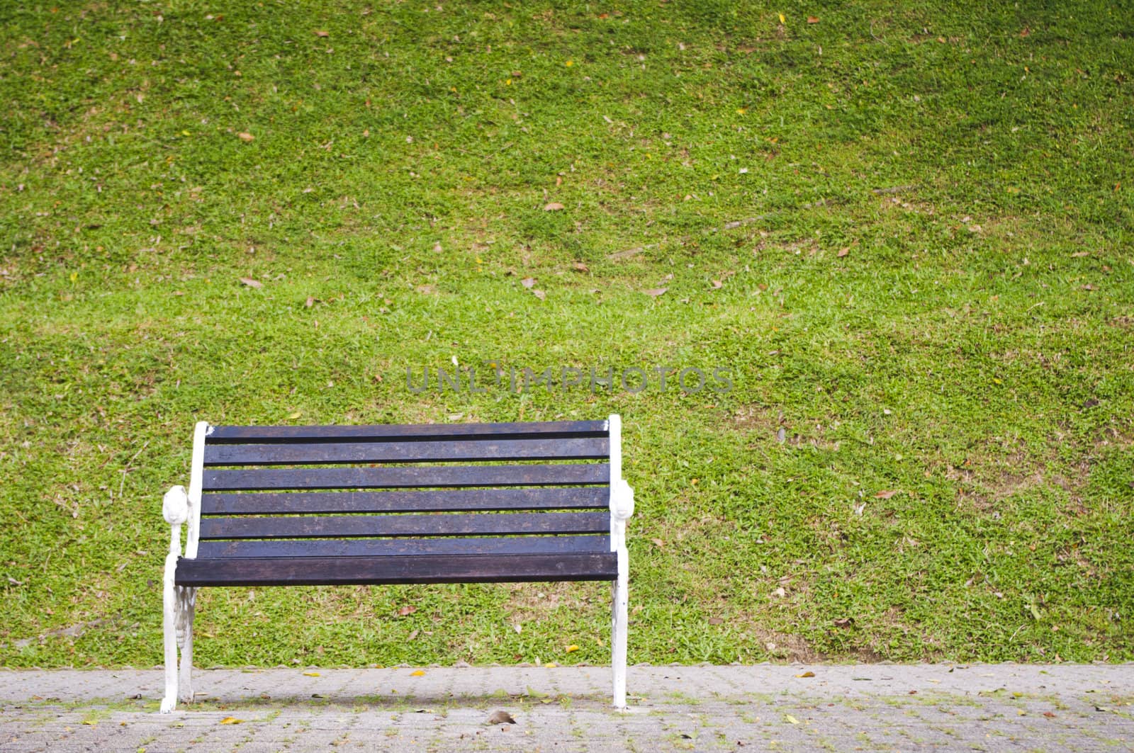 a single bench in a park, waiting for someone.