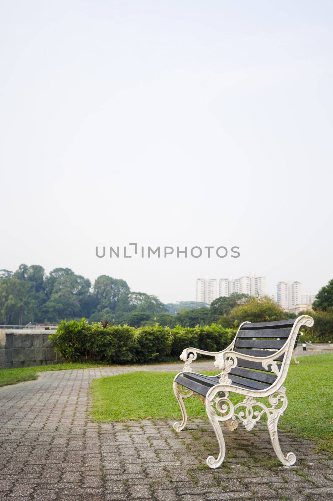 Empty bench in a park, to convey a feeling of waiting or expecting for the future or time passing.
