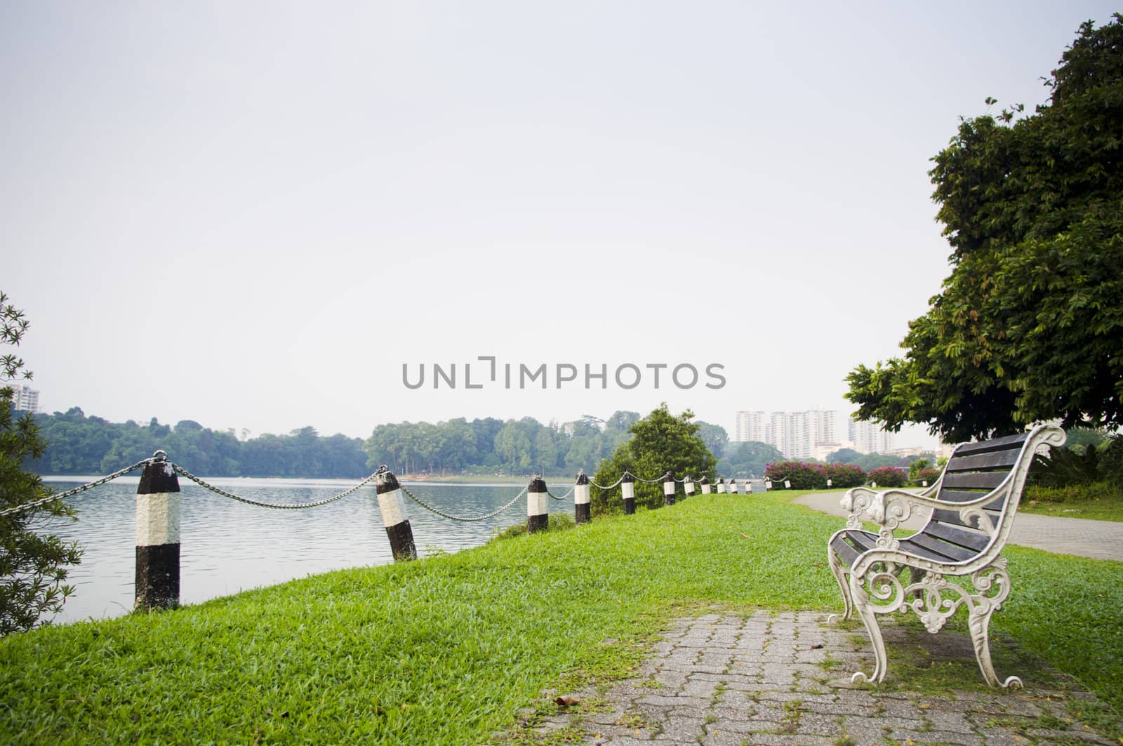 bench in a park with nobody