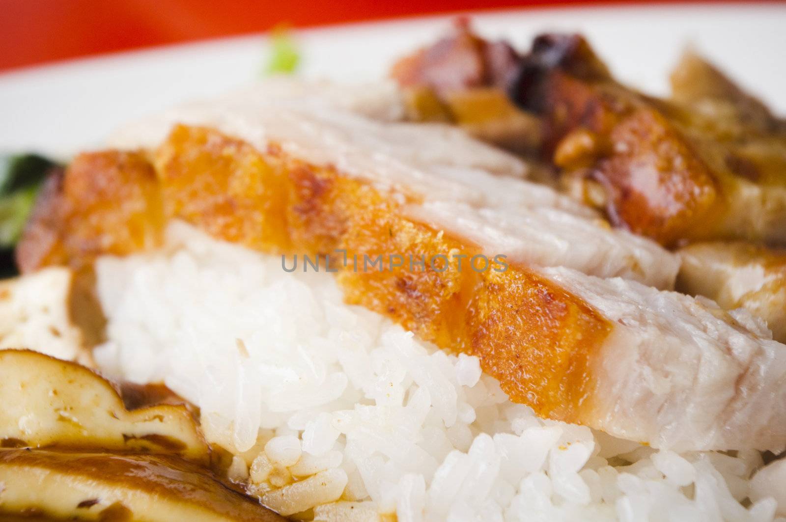 chinese style roasted pork with rice, popular in asian countries, picture taken in singapore.