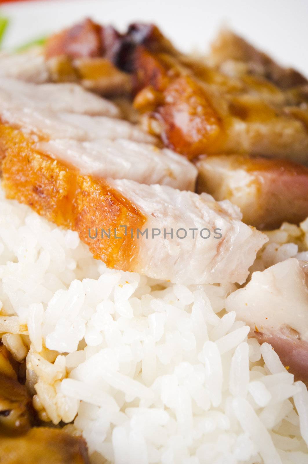 chinese style roasted pork with rice, popular in asian countries, picture taken in singapore.