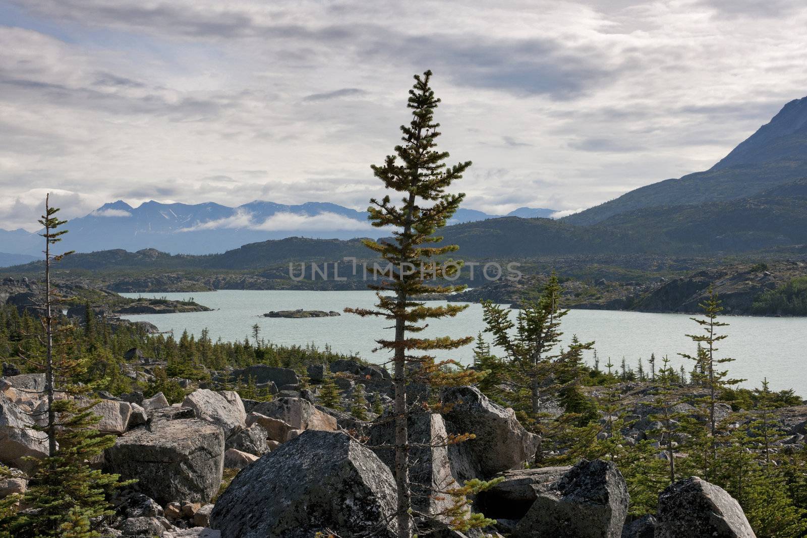 Clouds gather around mountain tops looking over wild vegetation and glacier lake.