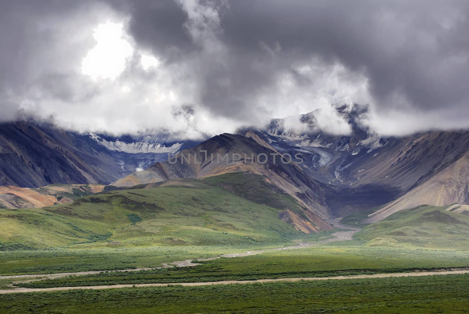 Wide wild scenery with two glaciers at Denali - Alaska. by Claudine