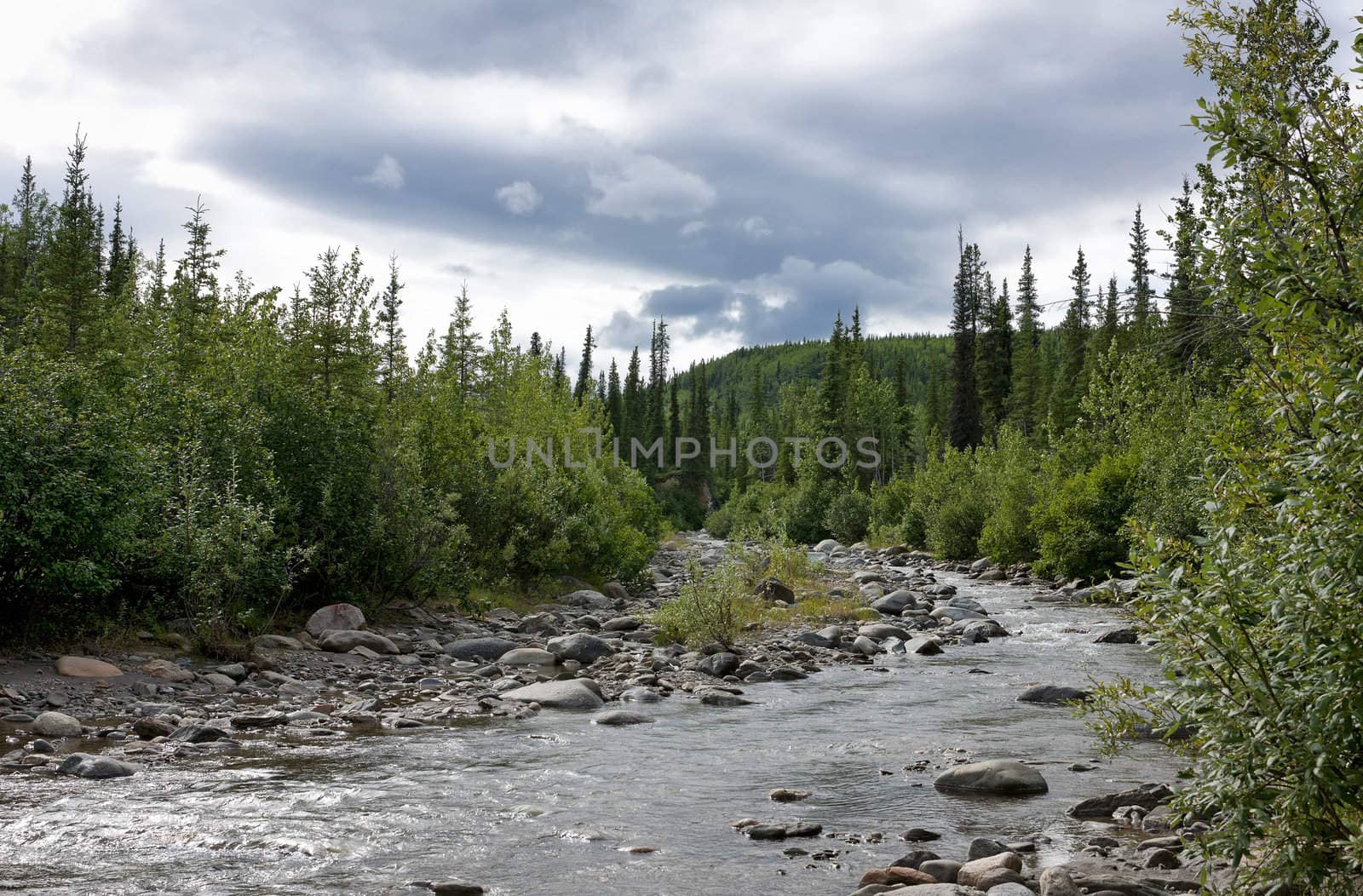 Stormy clouds gather over bending riverbed in the forest: Denali by Claudine