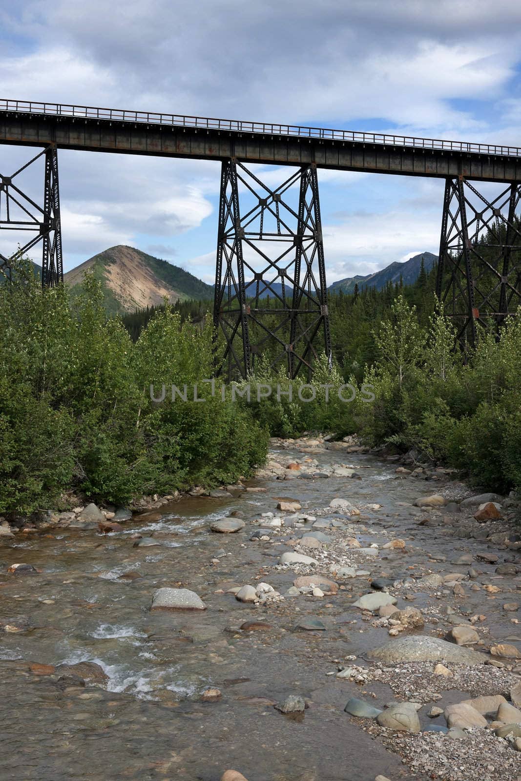 Old metal train bridge over fast flowing river in Denali - Alask by Claudine