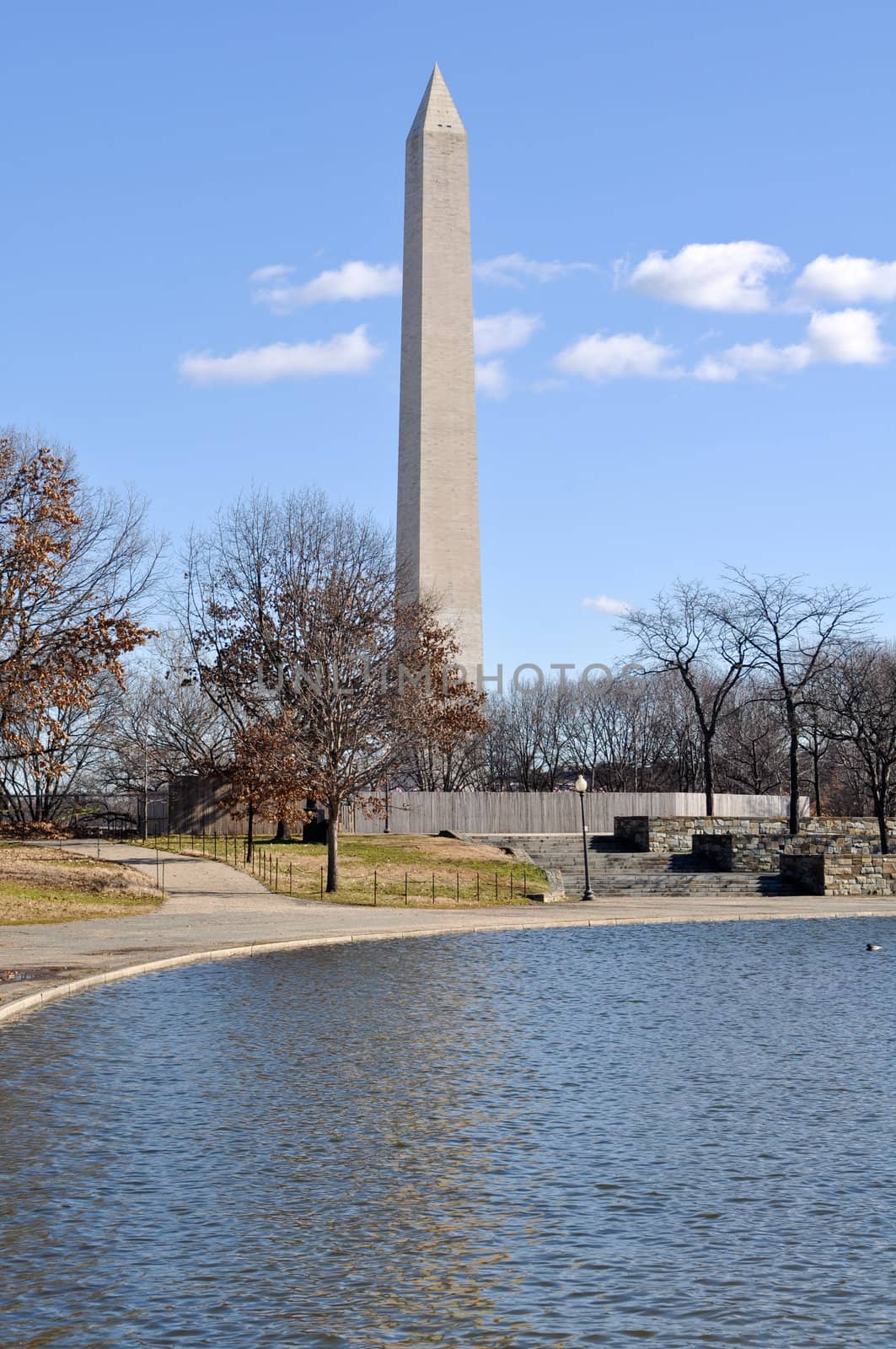 Washington Monument in the Winter