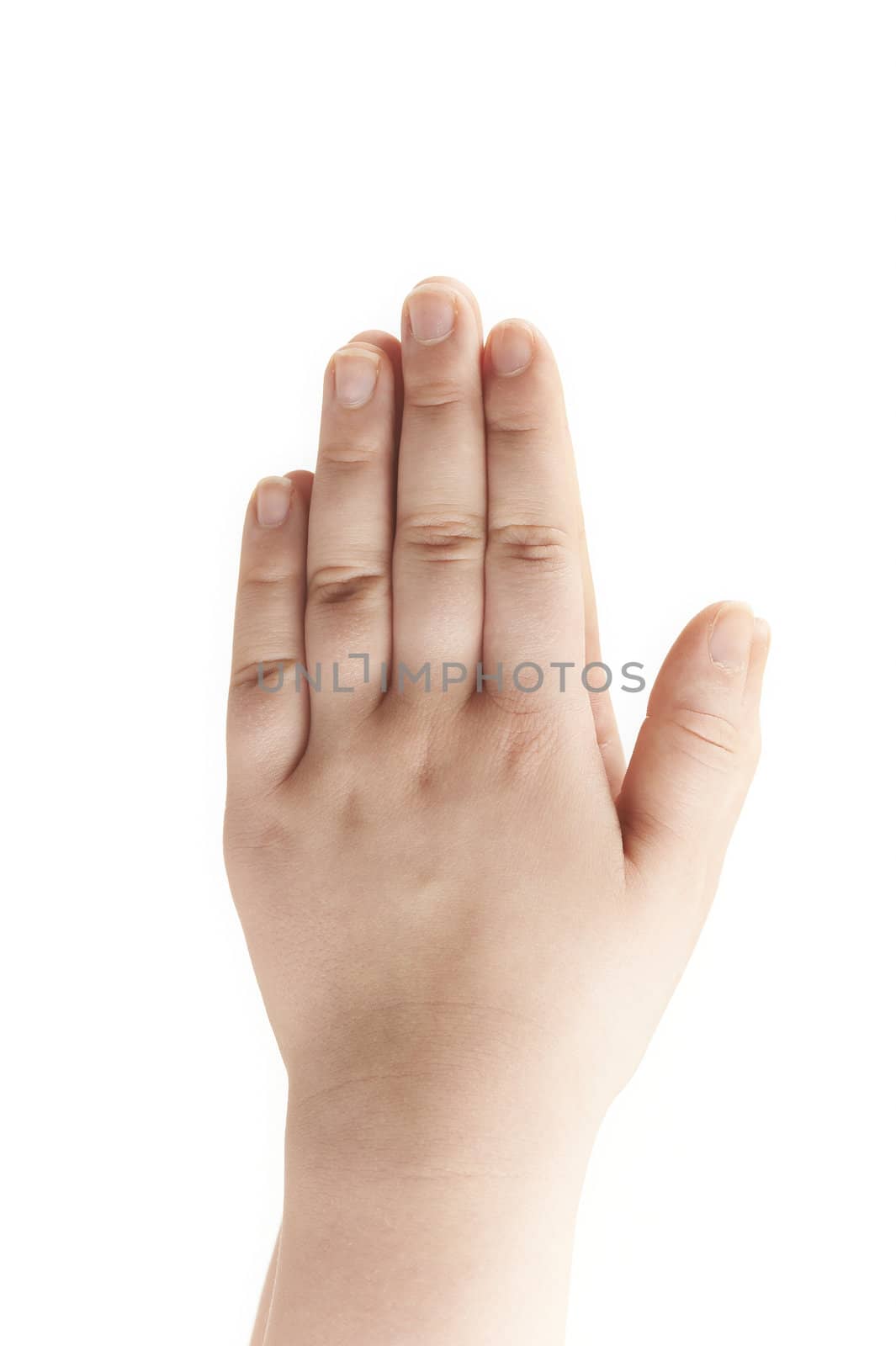Hands of child - palms facing towards each other - on white background