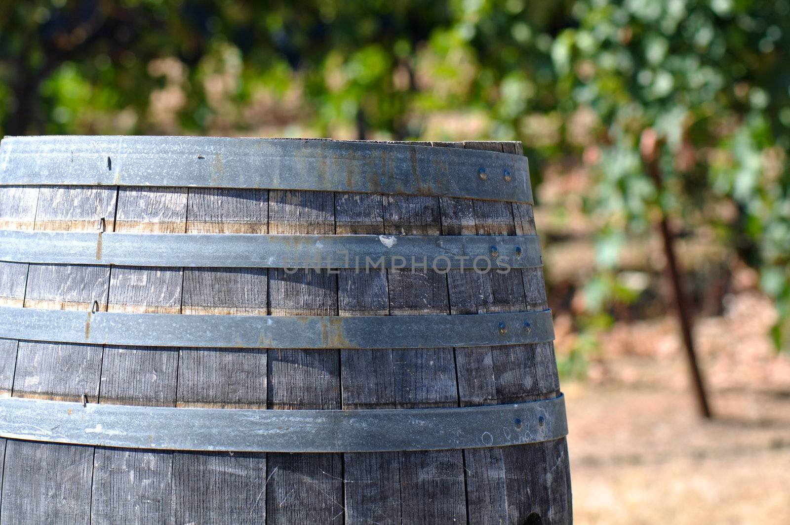 Wine Barrel and Vineyard