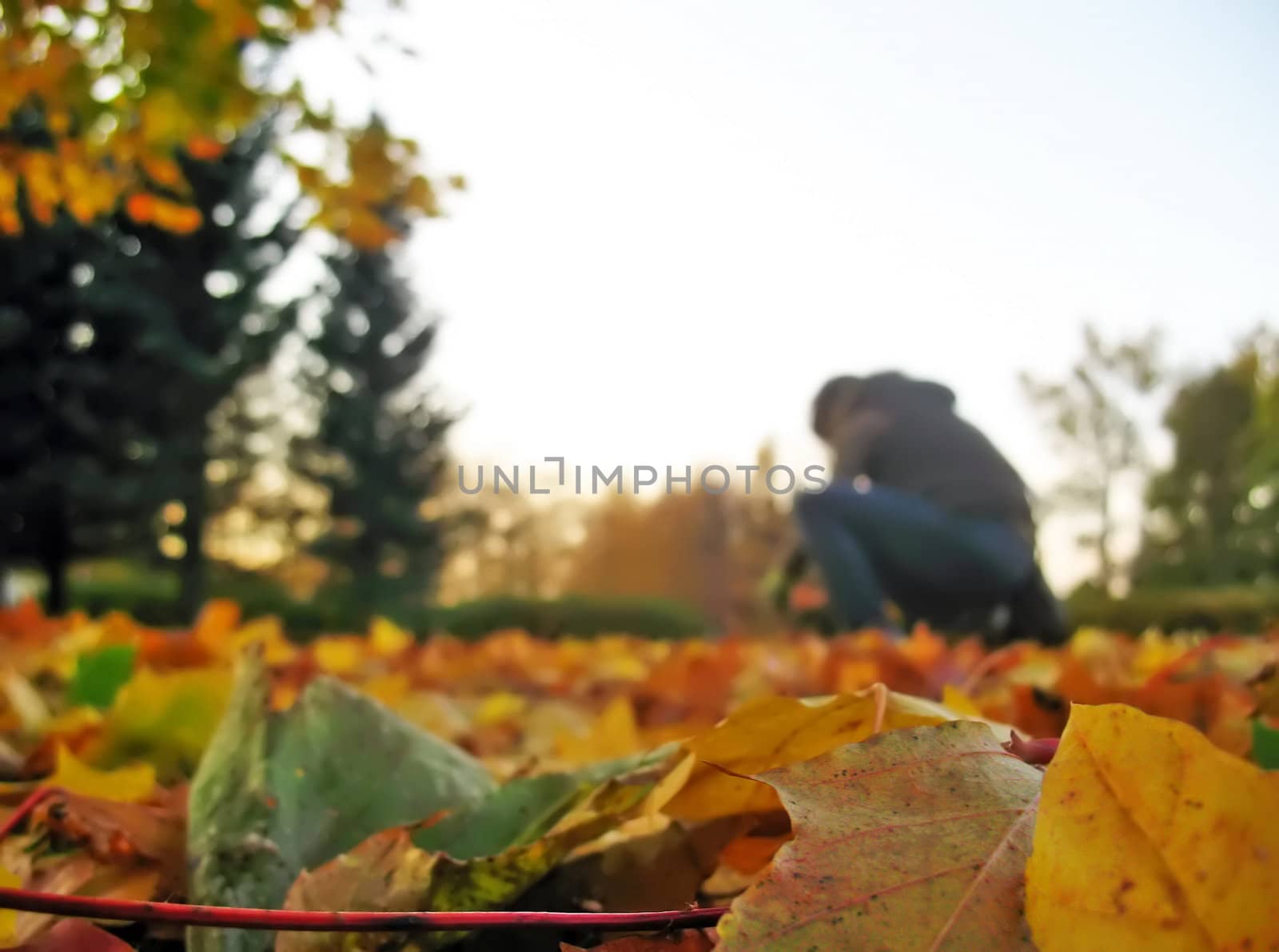 Silhouette of a girl collecting fallen leaves by Vitamin