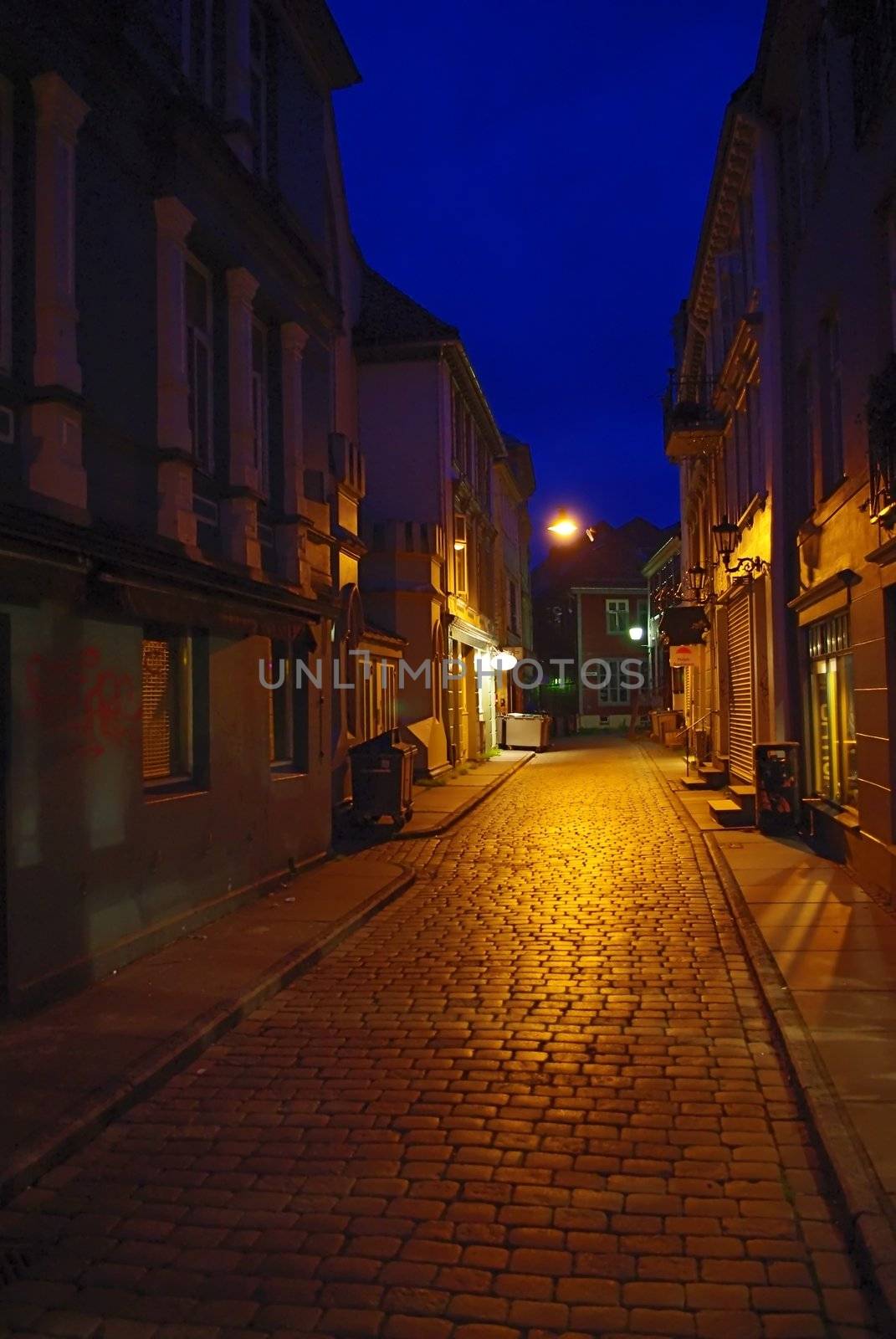 Street of old Bergen by night in electrical light
