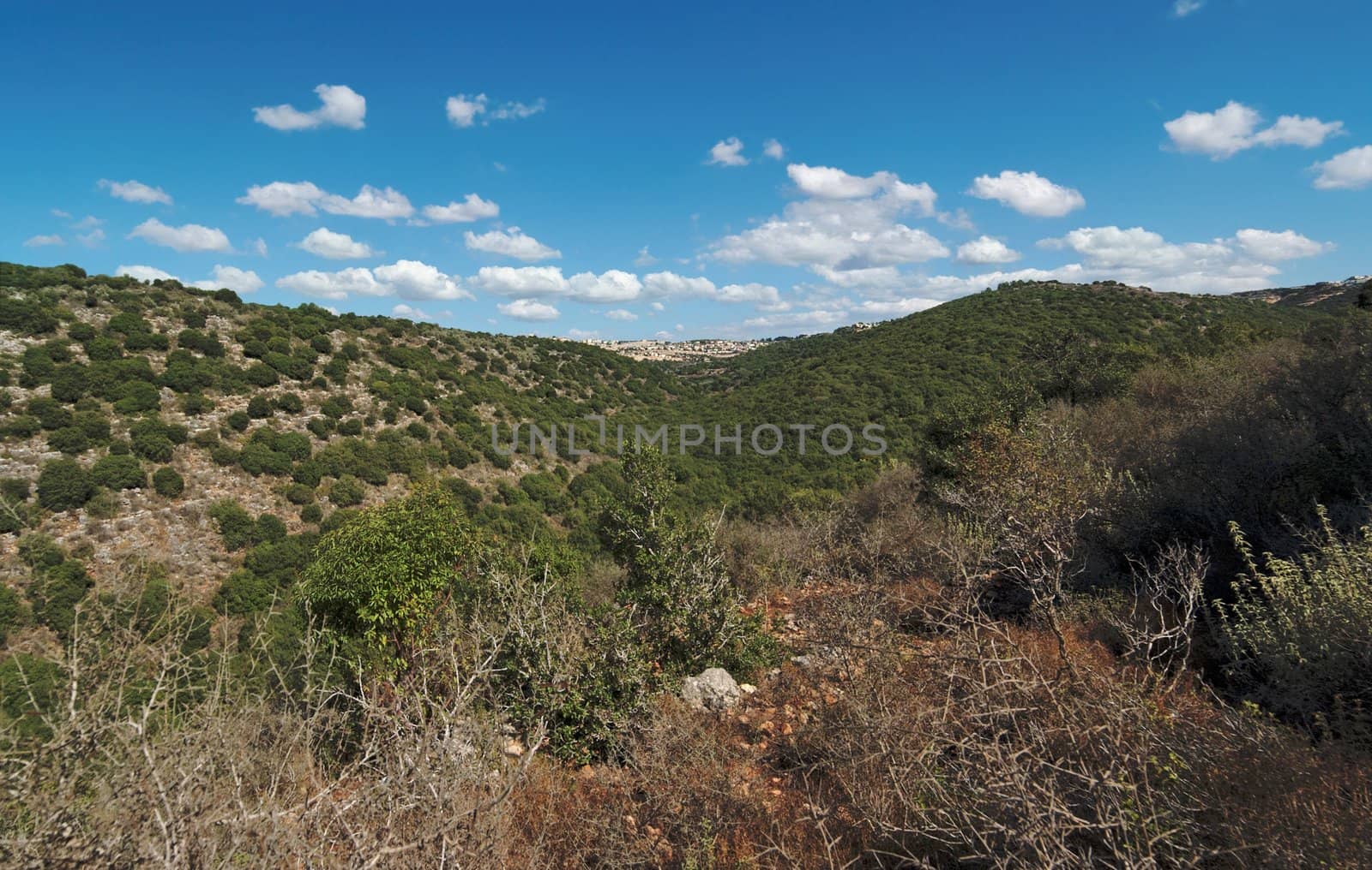 Landscape in Upper Galilee with Druze town on the horizon