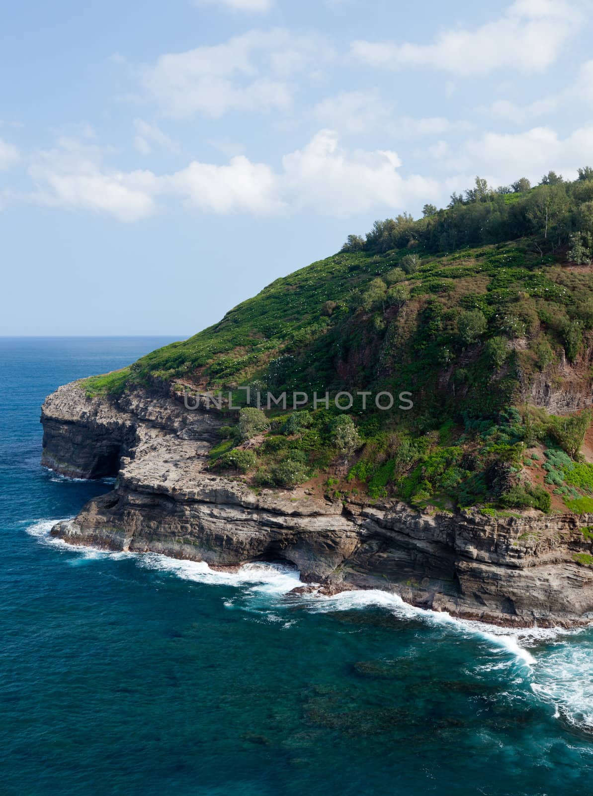 Cliffs housing bird sanctuary at Kilauea on north shore of Kauai