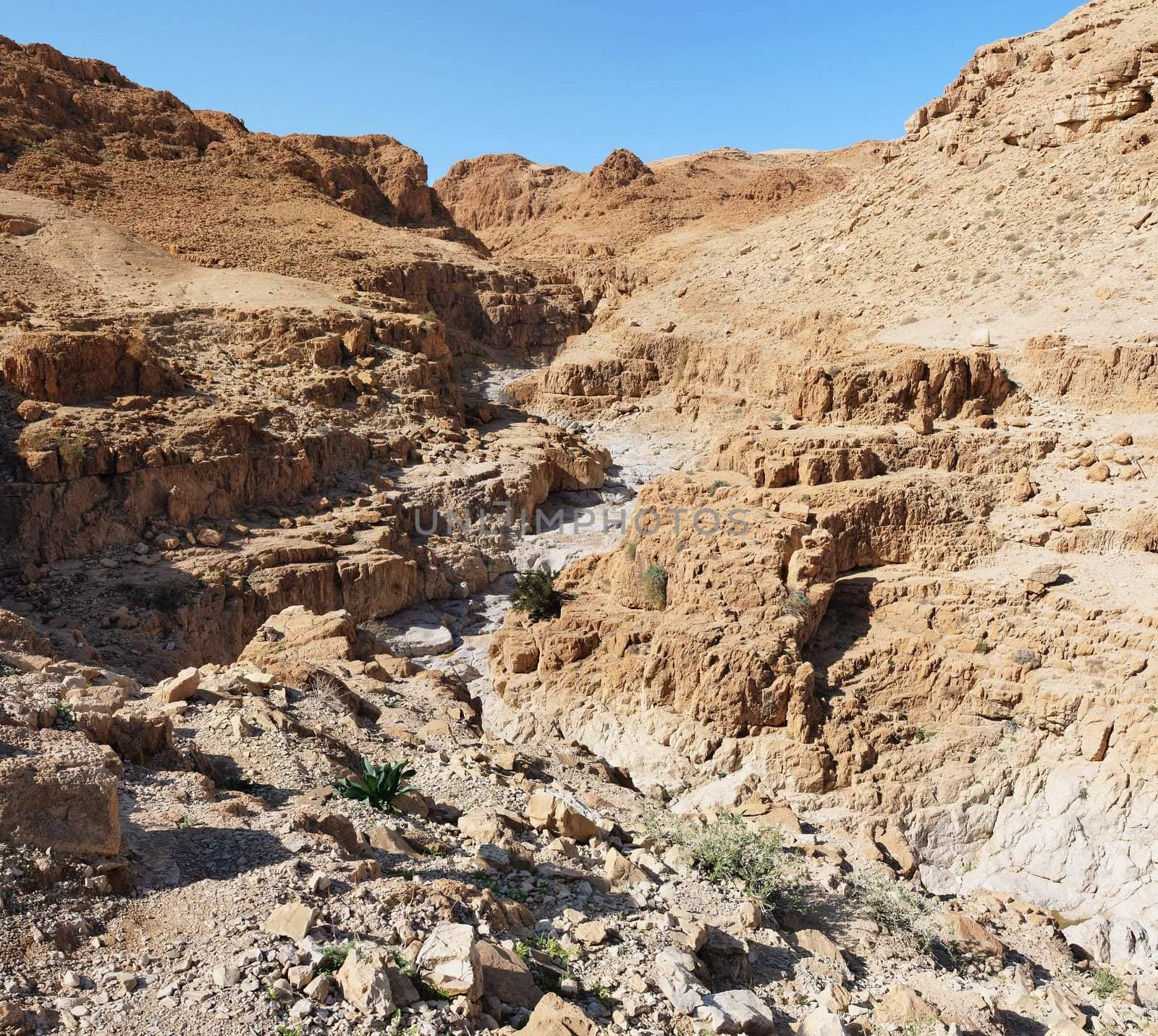 Gorge in desert cut by a Qumran creek near the Dead Sea