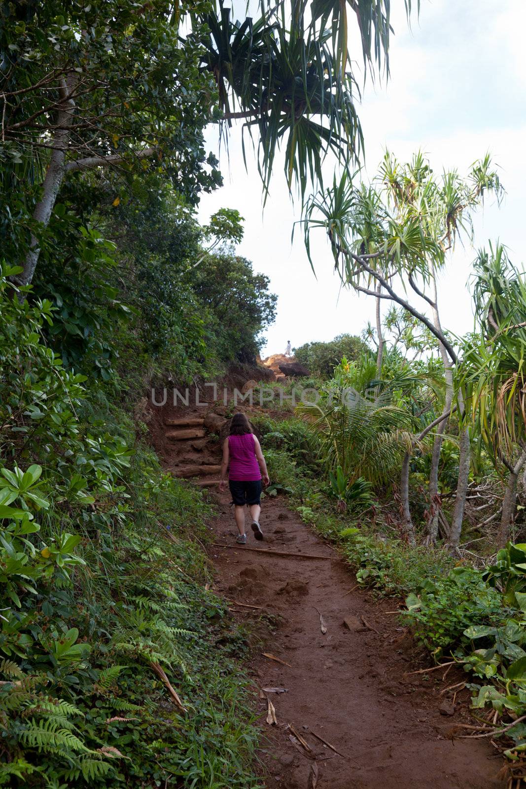 Girl hiking Kalalau trail in Kauai by steheap