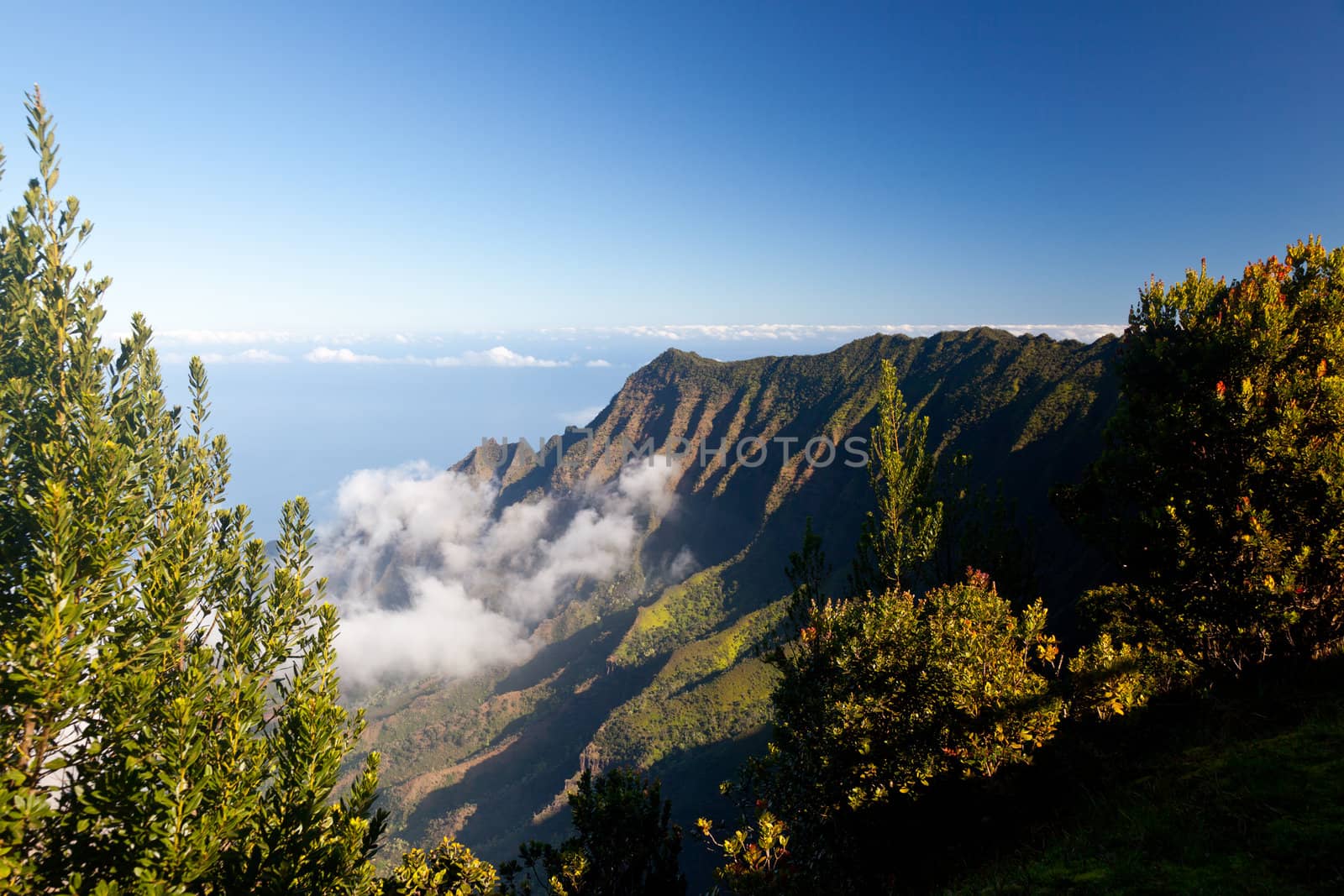 Low clouds start to form on Kalalau valley in Kauai Na Pali Coast