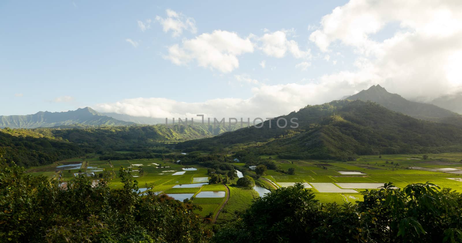Wide panorama of Hanalei Valley on island of Kauai in very high resolution