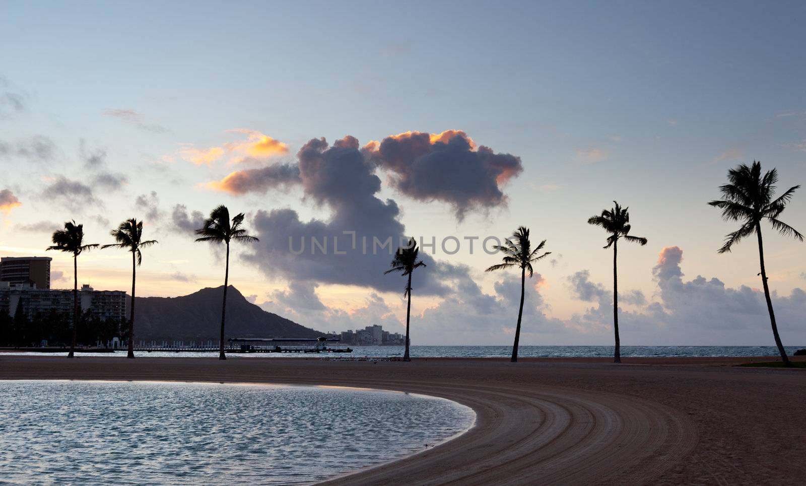 Palm trees by side of beach in Waikiki at dawn