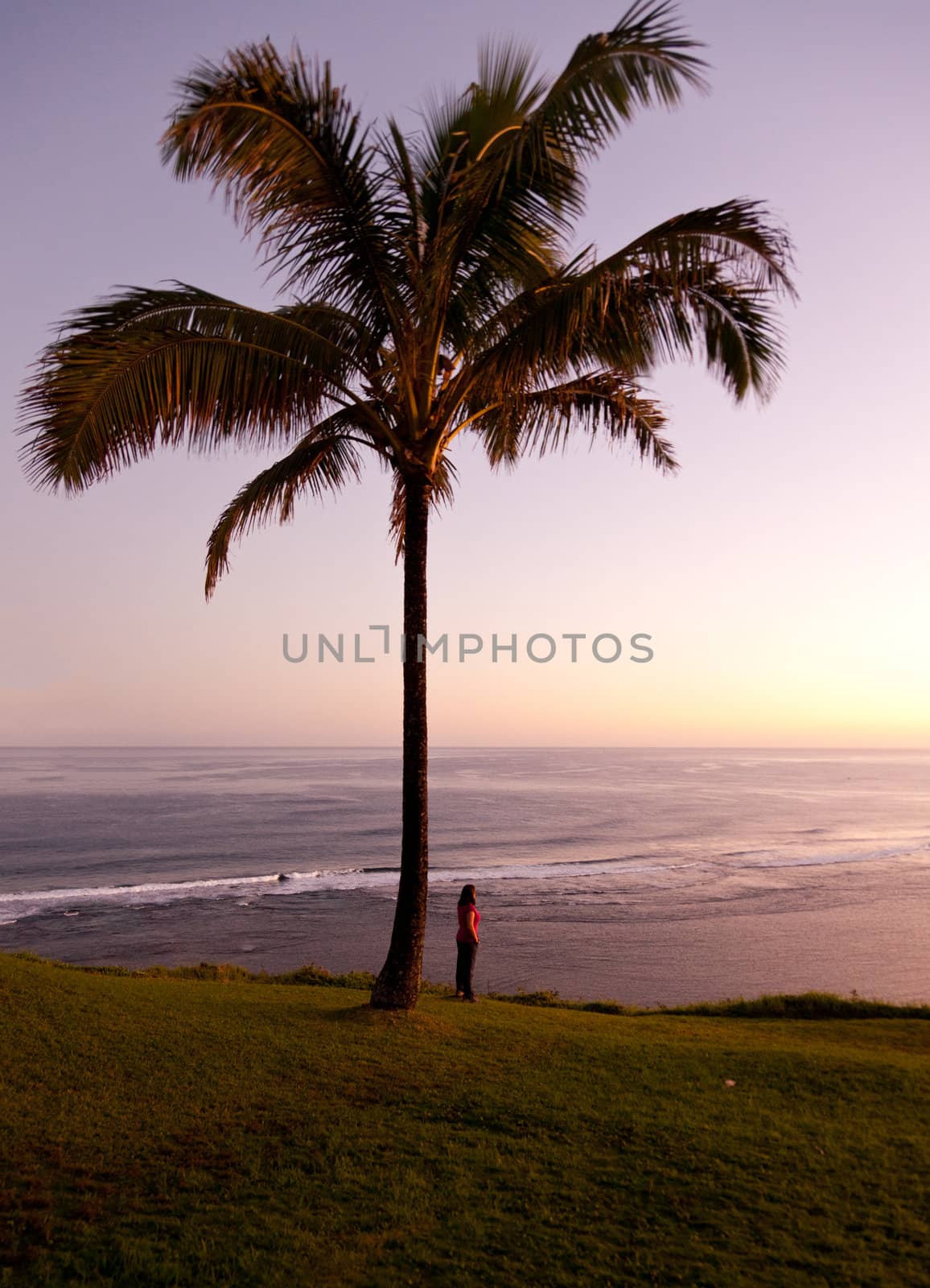 Sunrise with girl by palm tree and looking off into the distance