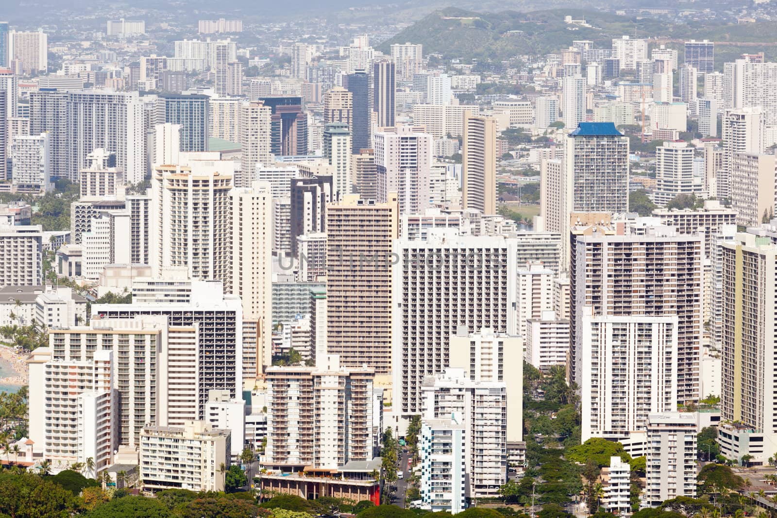 Tower blocks of Waikiki in Oahu Hawaii from the summit of Diamond Head crater