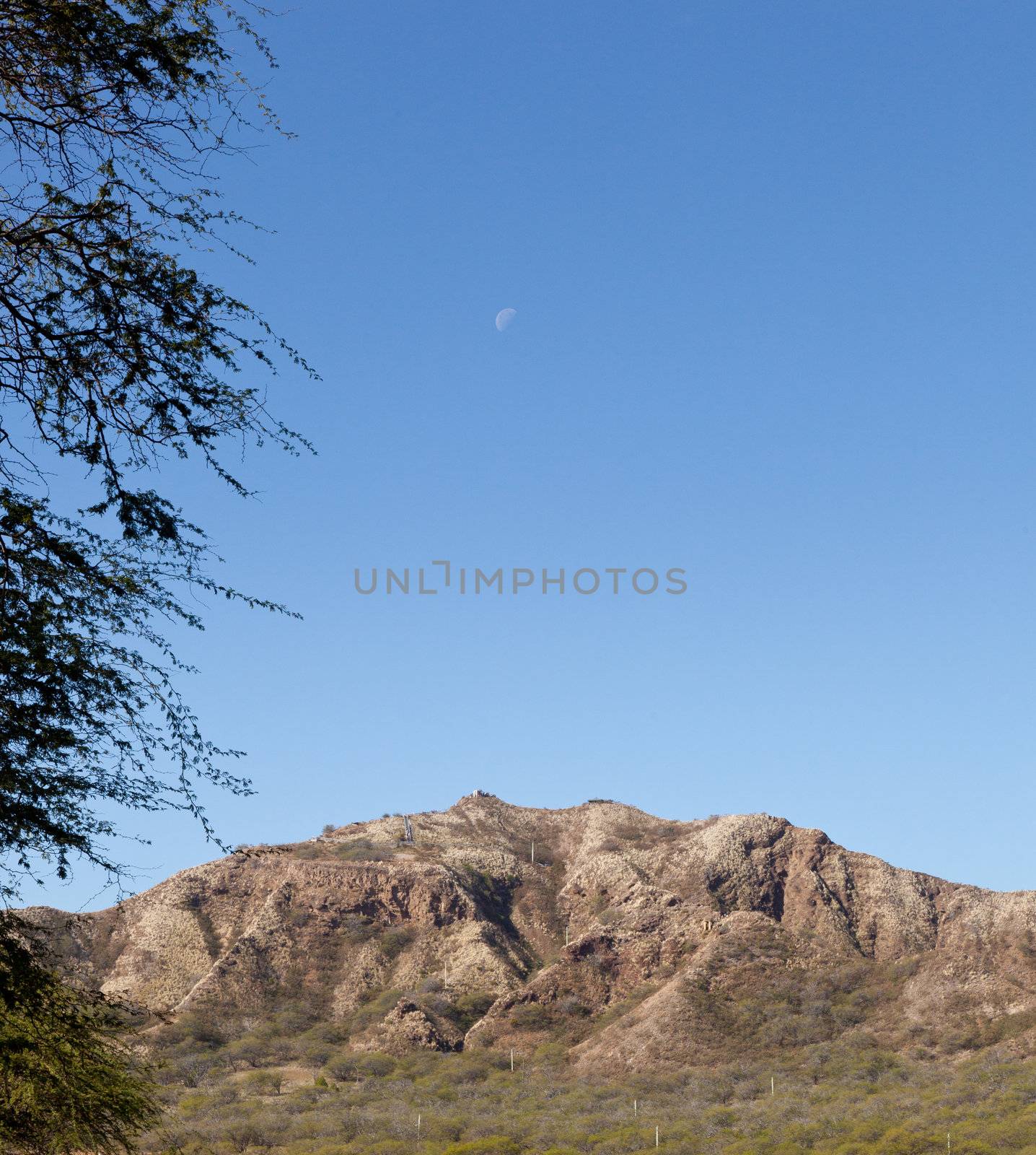 Summit of Diamond Head crater in Waikiki Hawaii from interior of the volcano
