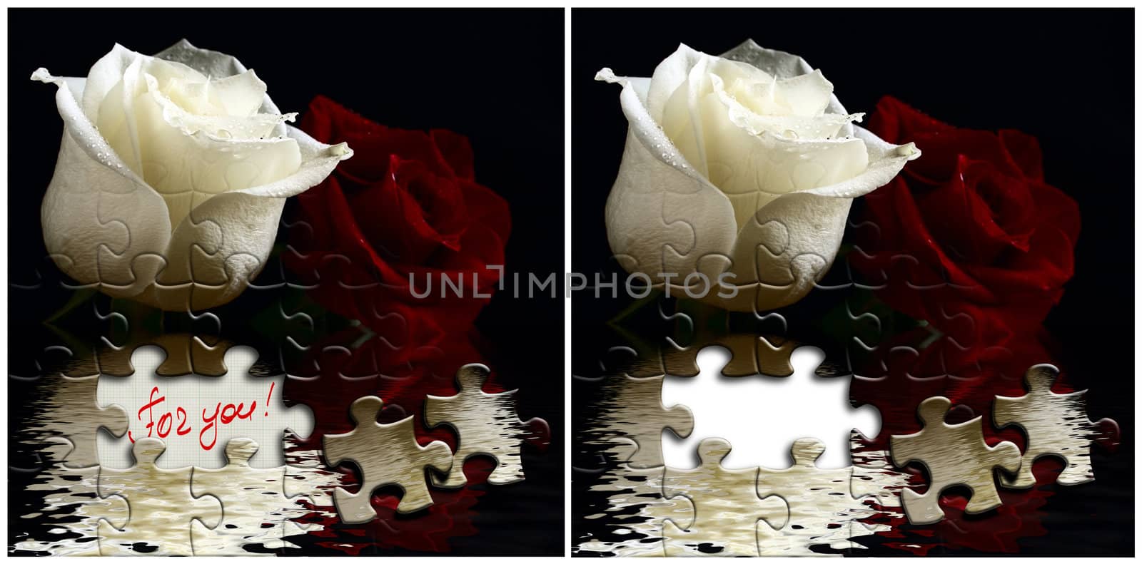 Two cards with white and red roses flooding in water. Puzzle textured and words FOR YOU on free space. One more same picture with blank space.