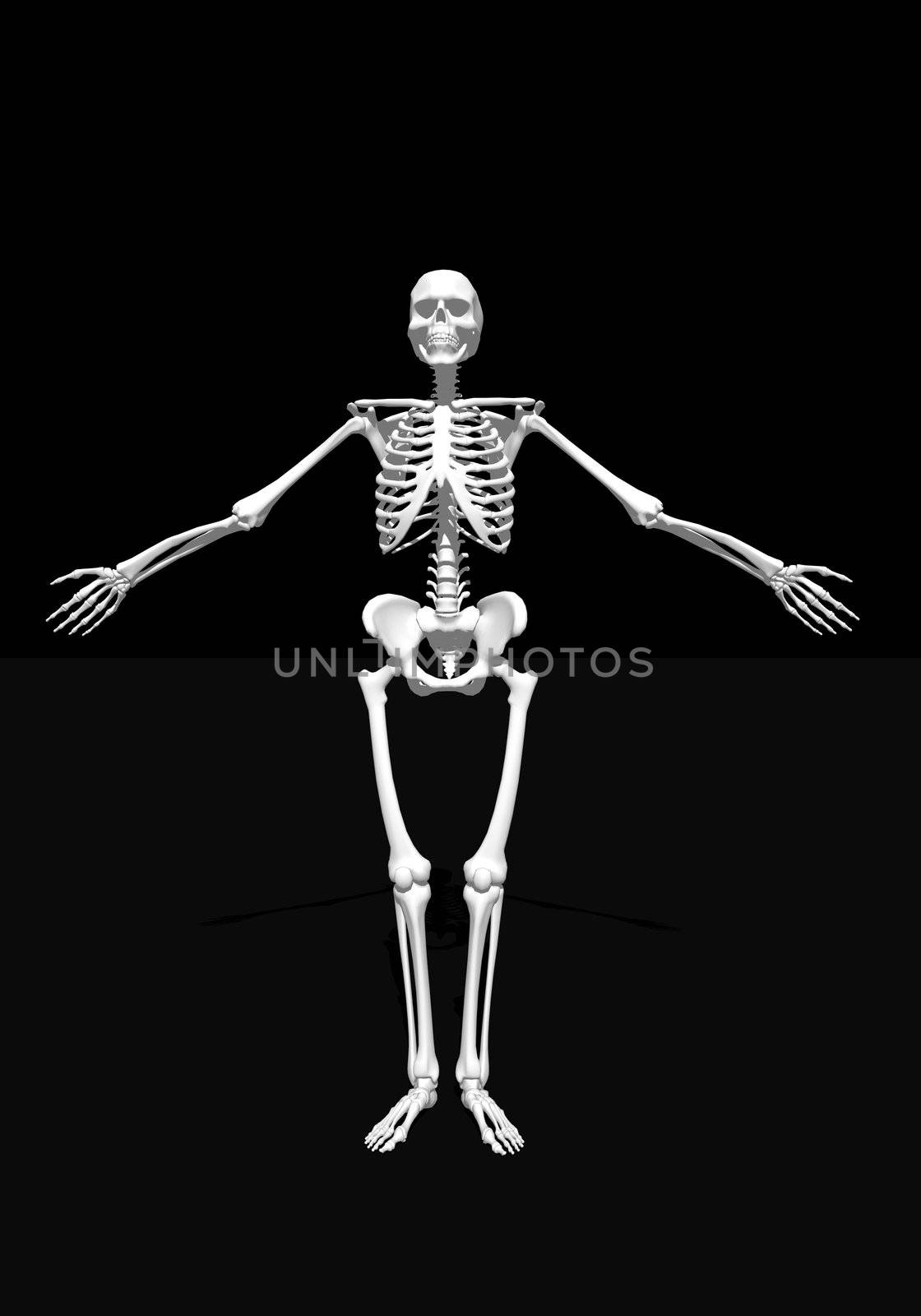 White skeleton arms wide open in black background