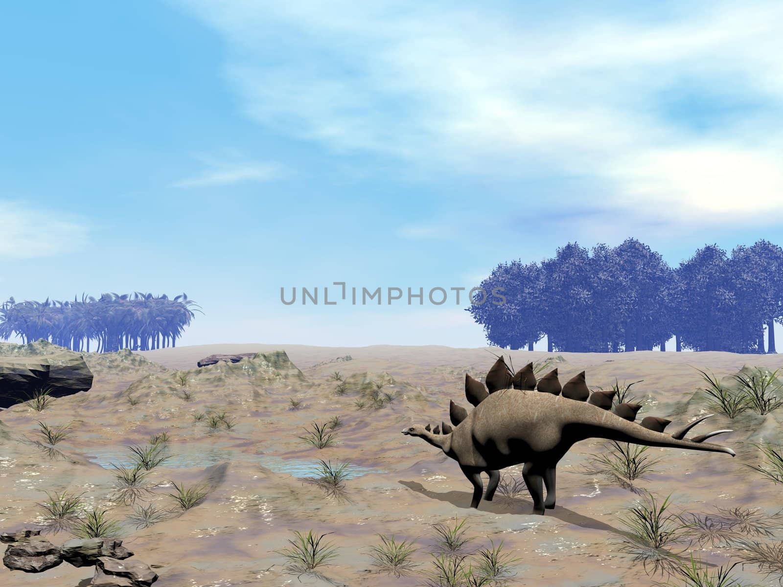 Stegosaurus in wild landscape going to a little pond to drink water