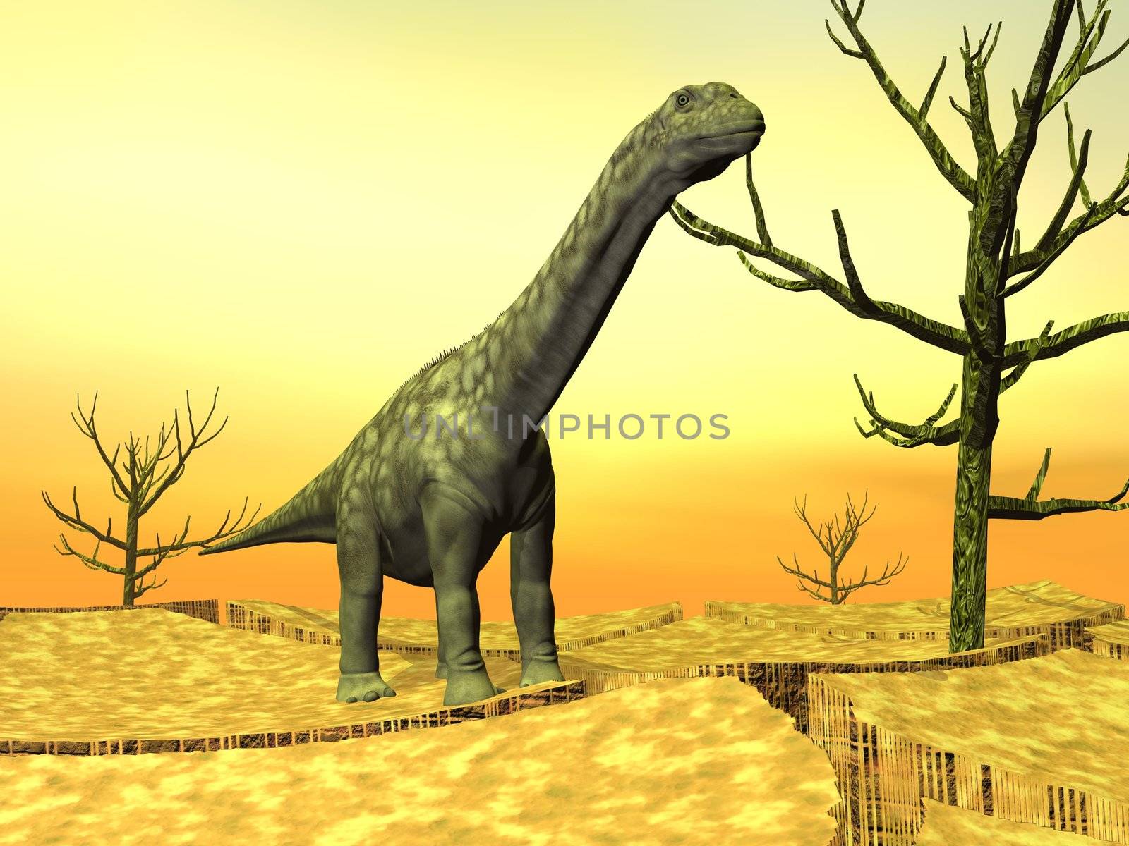 Argentinosaurus dinosaur standing on the cracked desert ground next to dead trees by hot weather