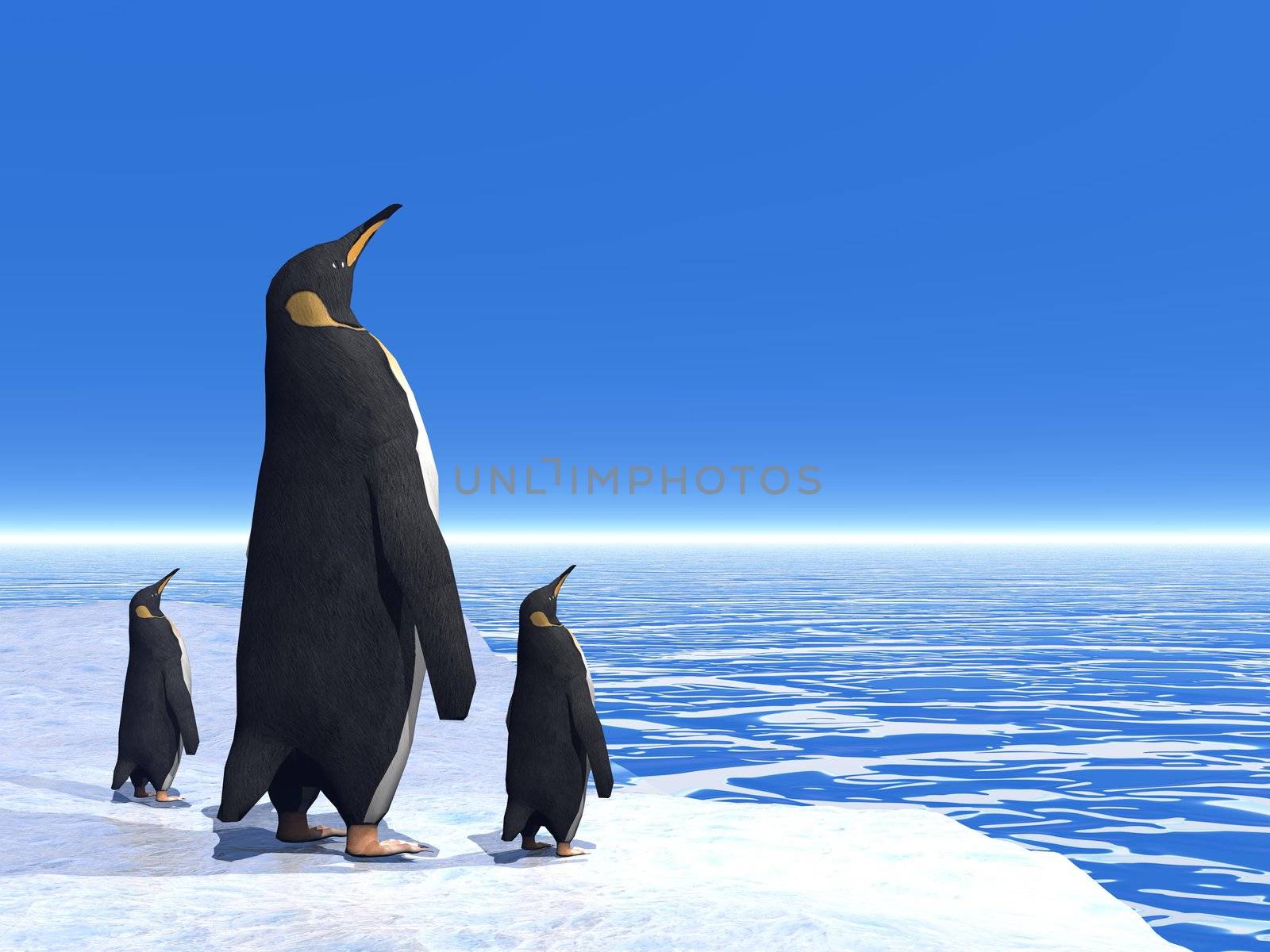 Mother penguin and her two little babies standing on an iceberg and looking far away on the ocean