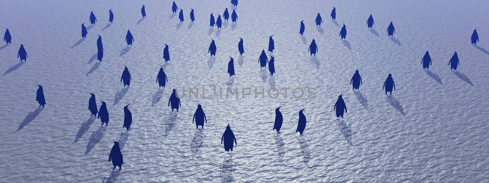 Many penguins standing on the ice by sunset