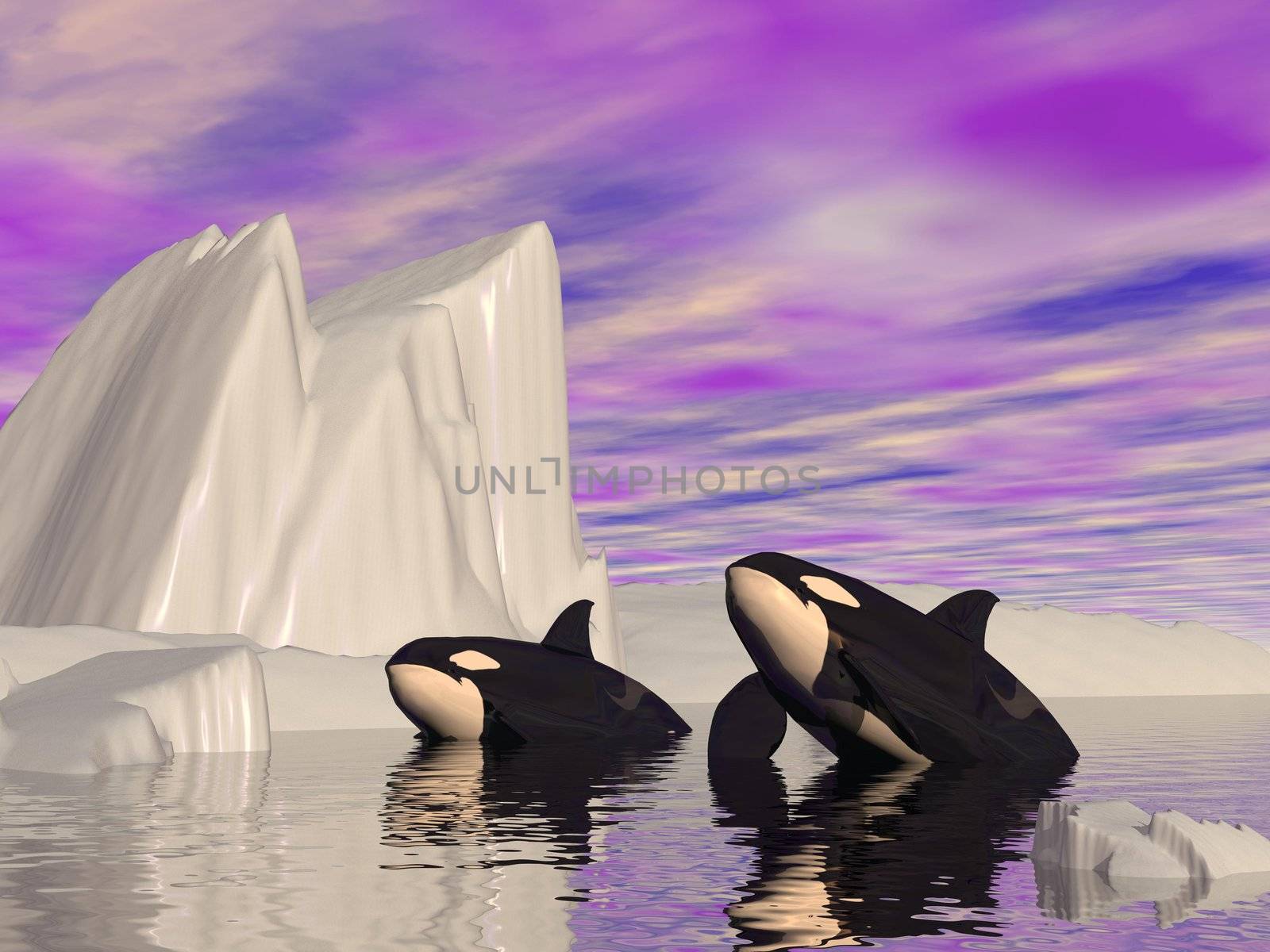 Orca journey - 3D render by Elenaphotos21