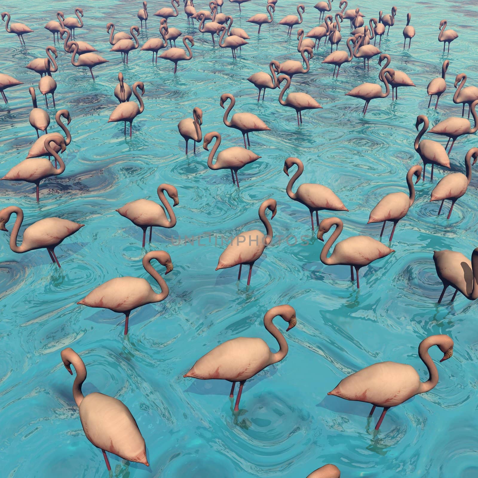 Flock of flamingos standing peacefully in beautiful water