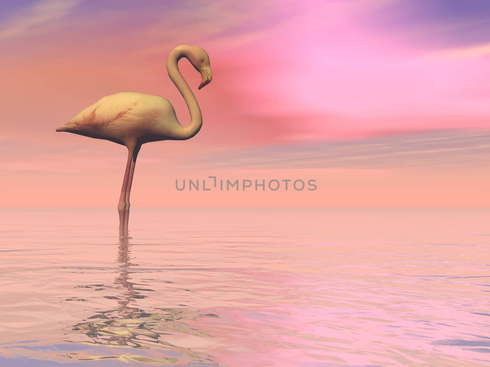 Peaceful falmingo- 3D render by Elenaphotos21