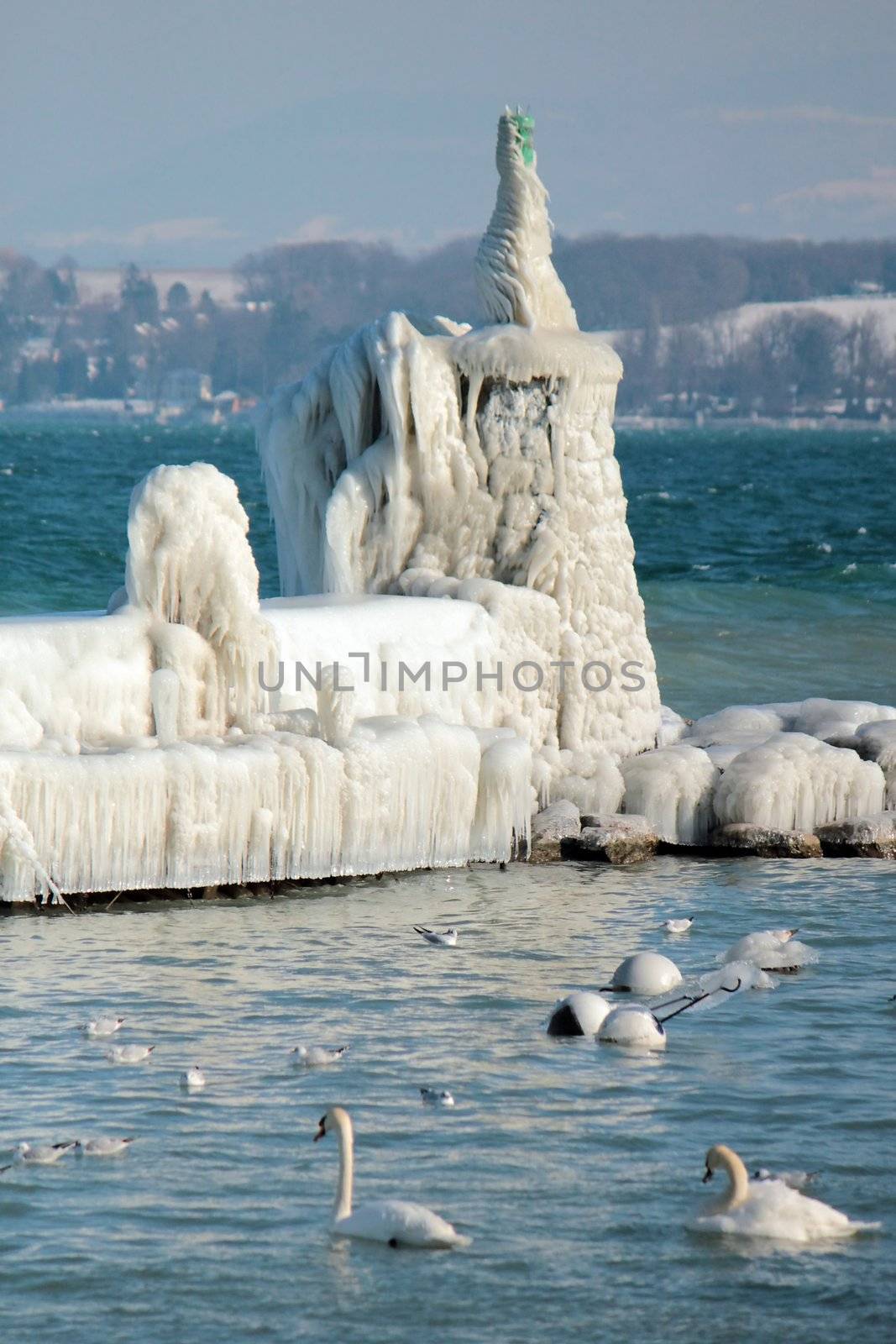 Lighthouse covered with icicles and swan on the lake of Geneva at Nyon, Switzerland
