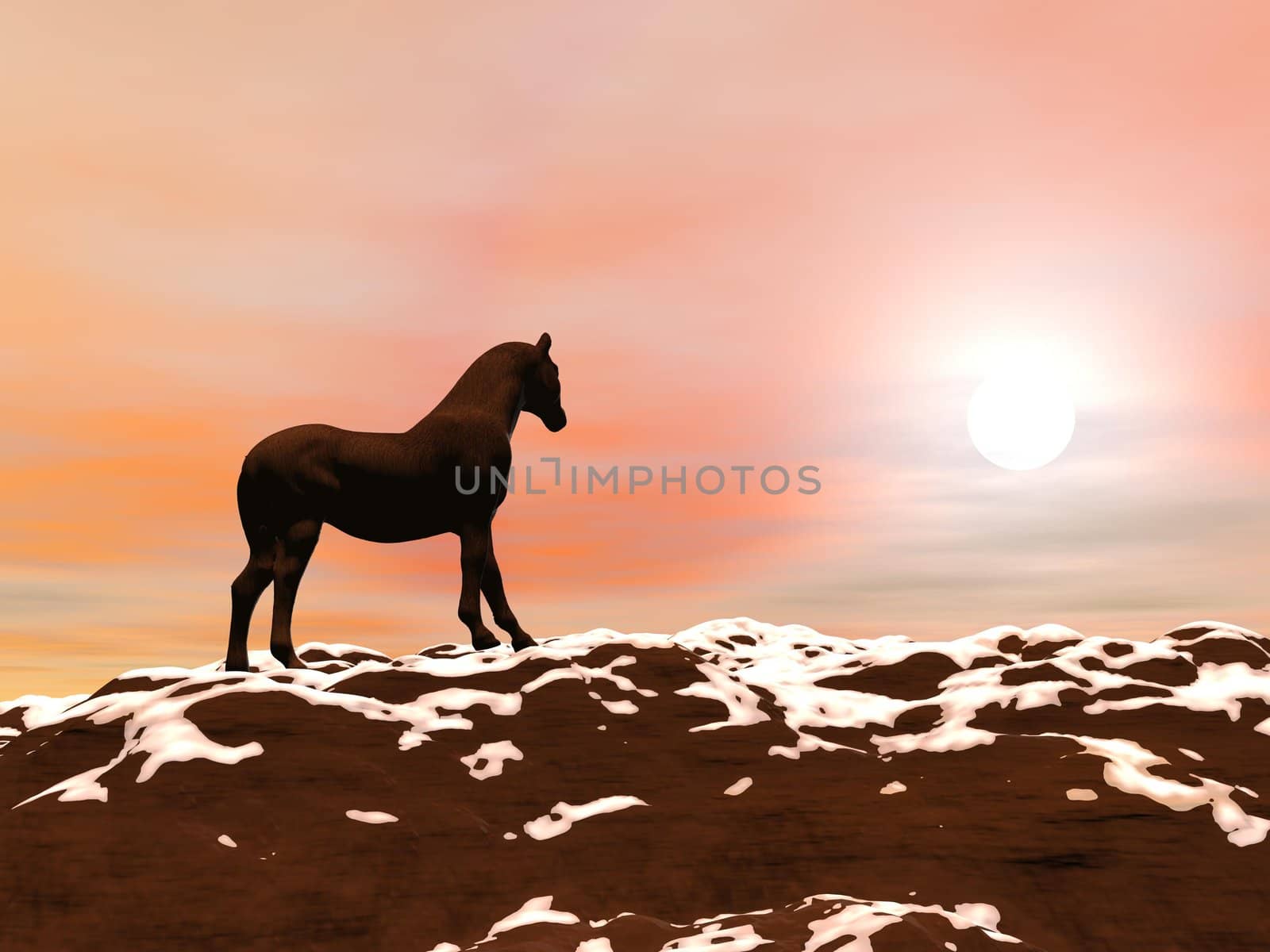 Shadow of a horse standing in the snow on a mountain and facing the sun by sunset