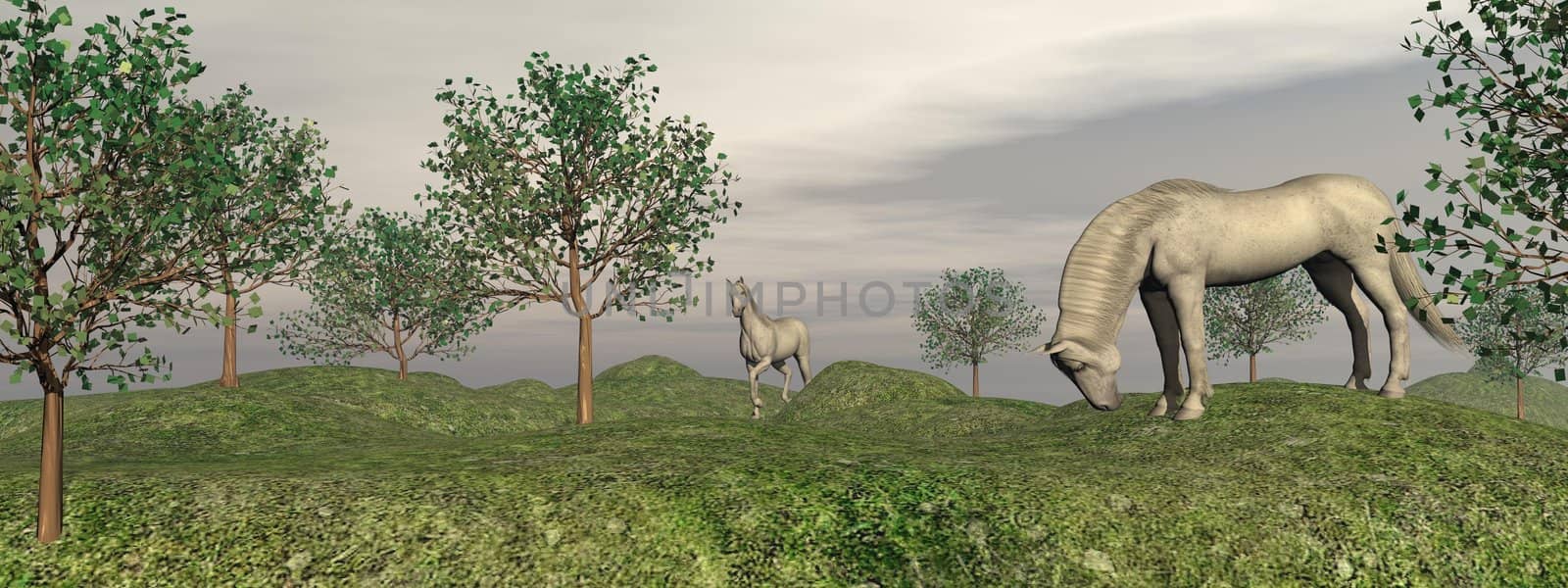 Two fleabitten grey horses in nature among trees