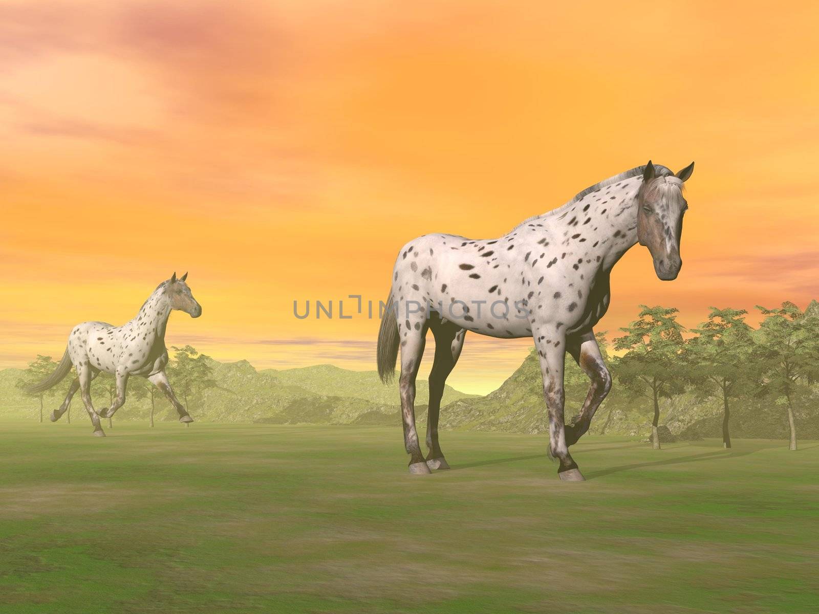 Leopard horses in nature - 3D render by Elenaphotos21