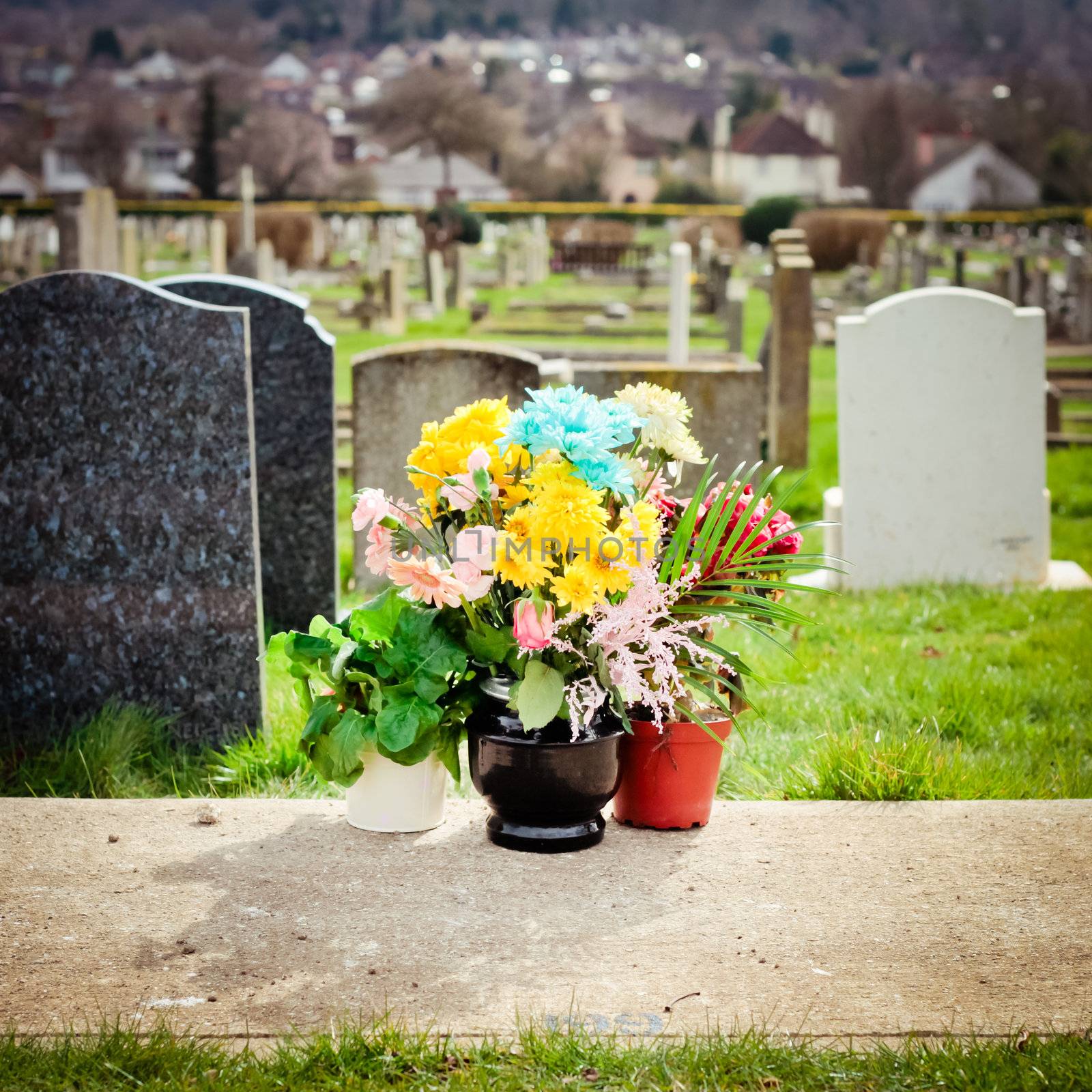 Bunch of fresh colorful flowers at a cemetery