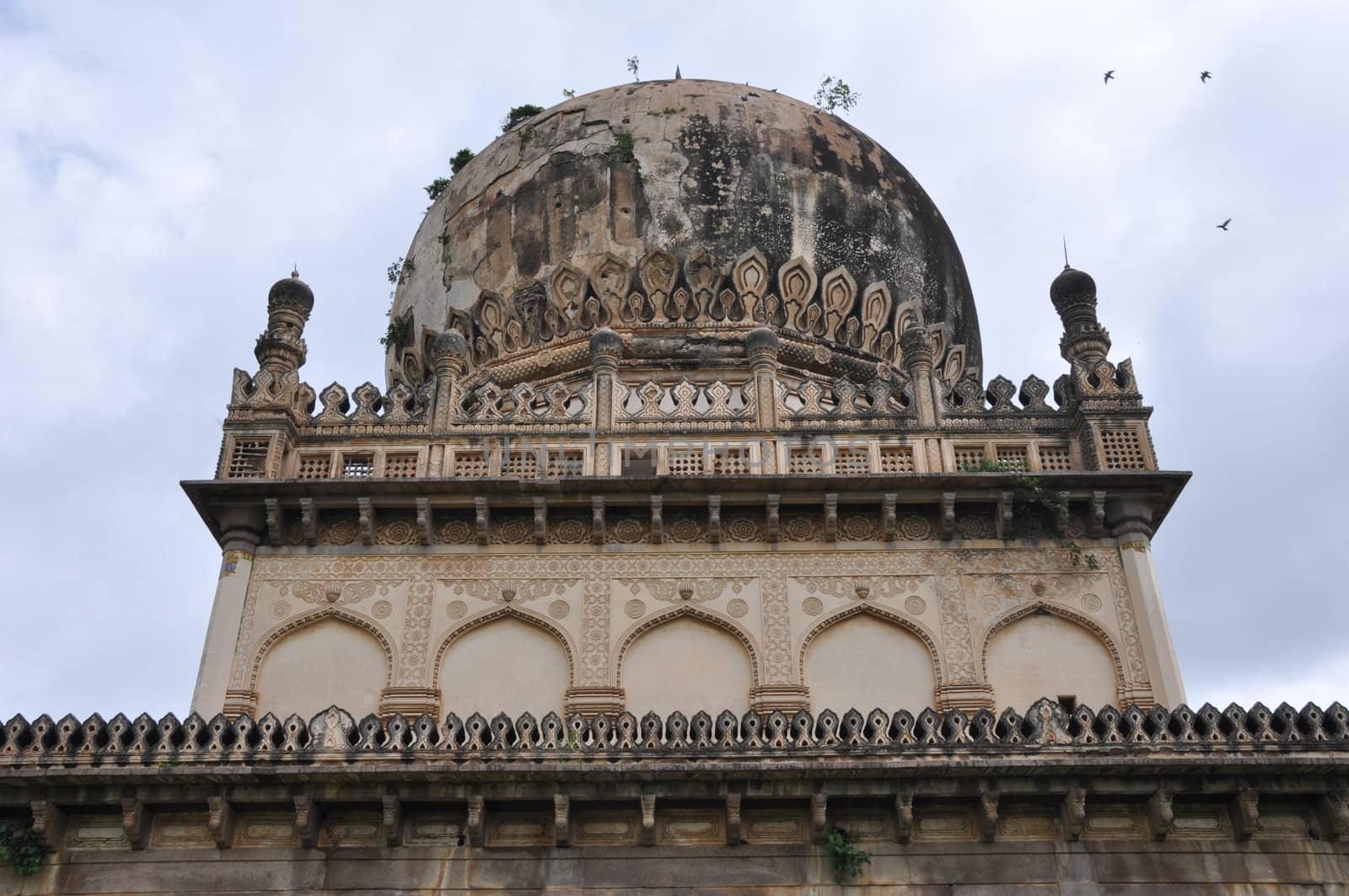 Qutb Shahi Tombs in Hyderabad, India by sainaniritu