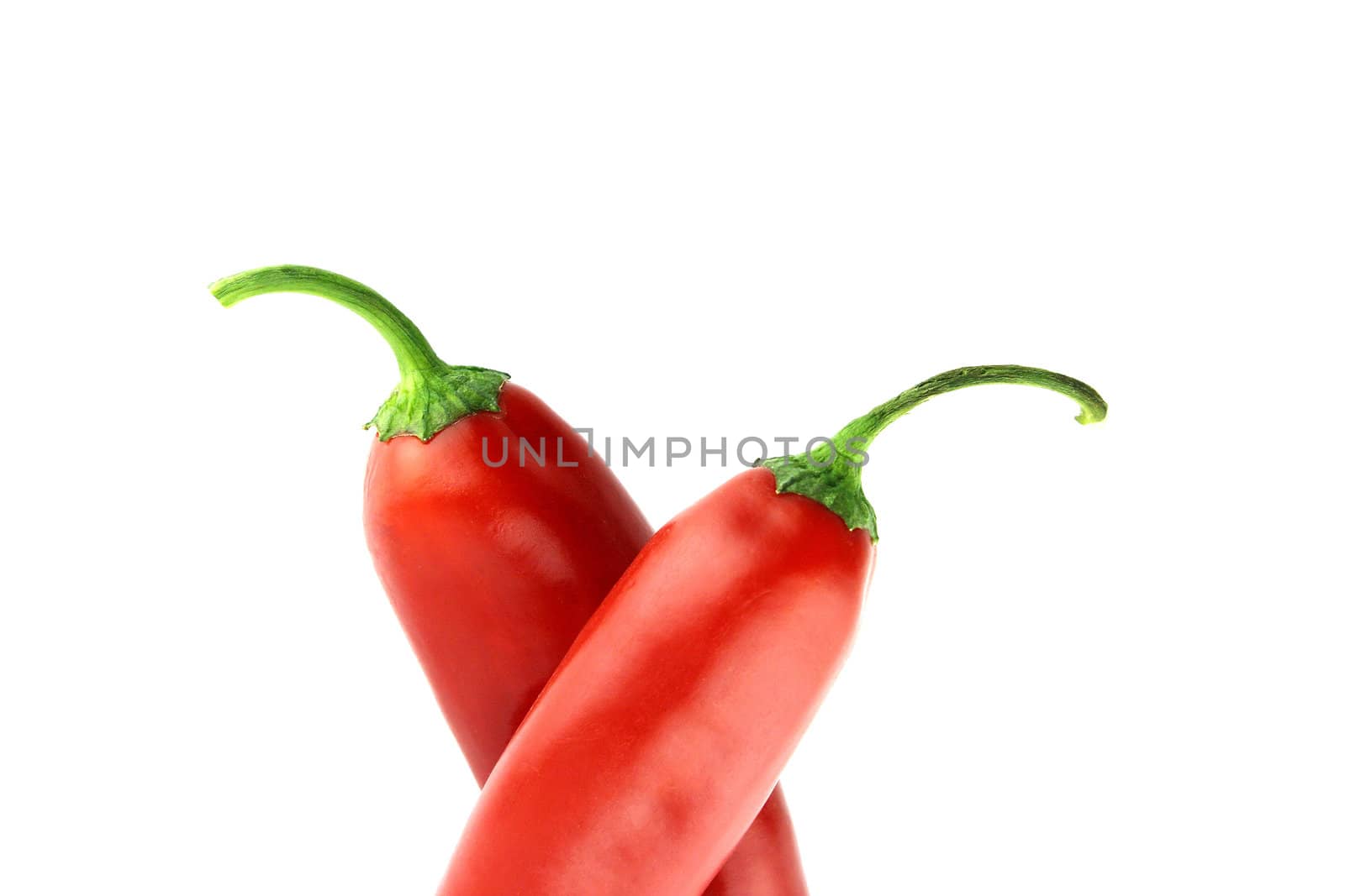 red hot chili pepper on a white background