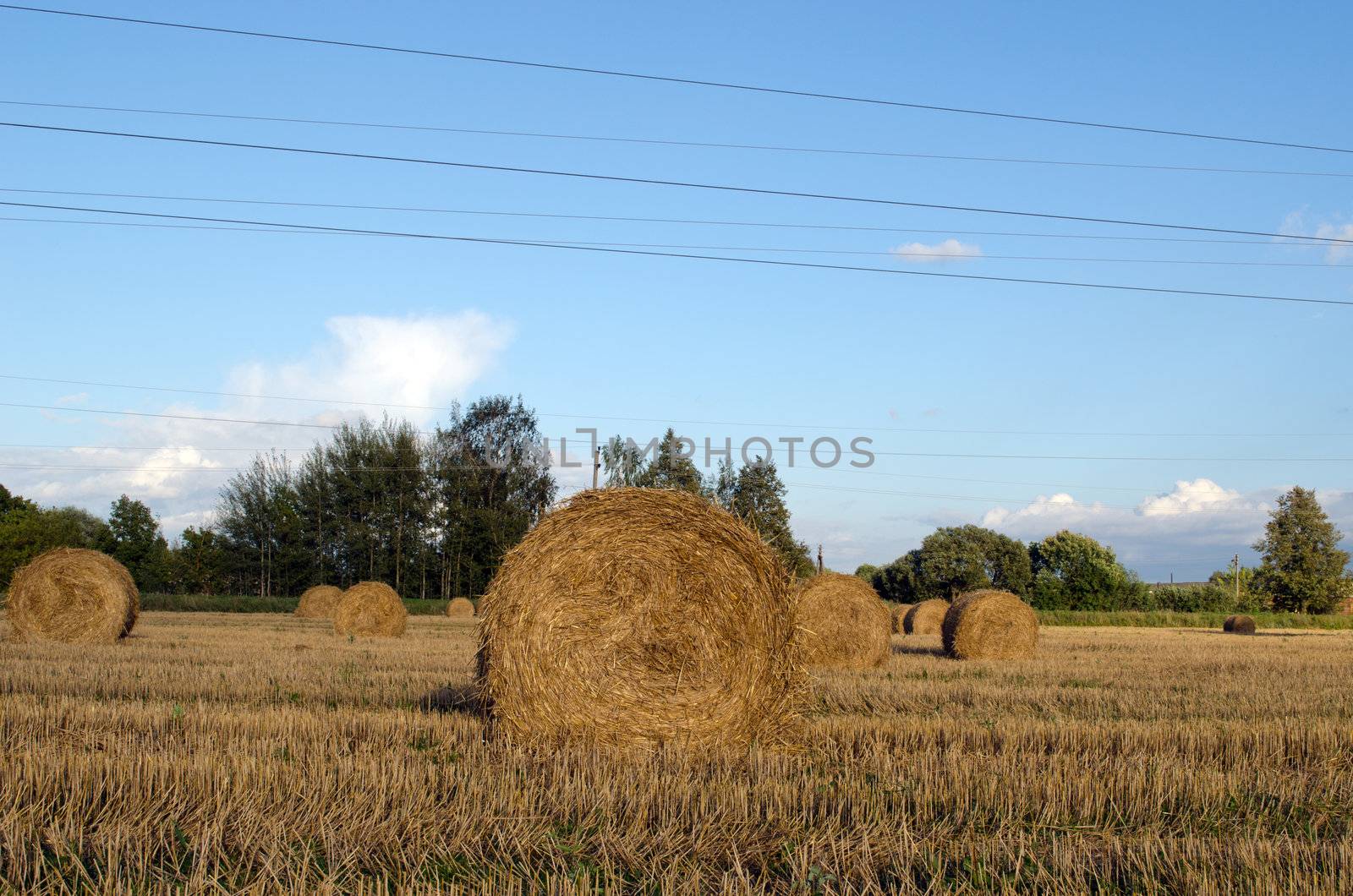 straw bales in harvested agricultural field and blue cloudy sky in autumn.