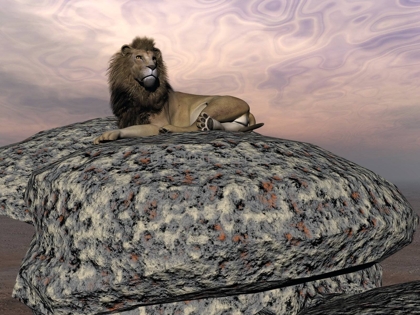 Beautiful lion resting on a big stone in the savannah by cloudy sunset