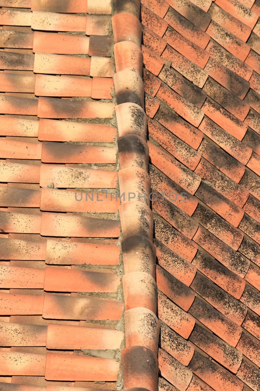 Tiles on a roof by Elenaphotos21